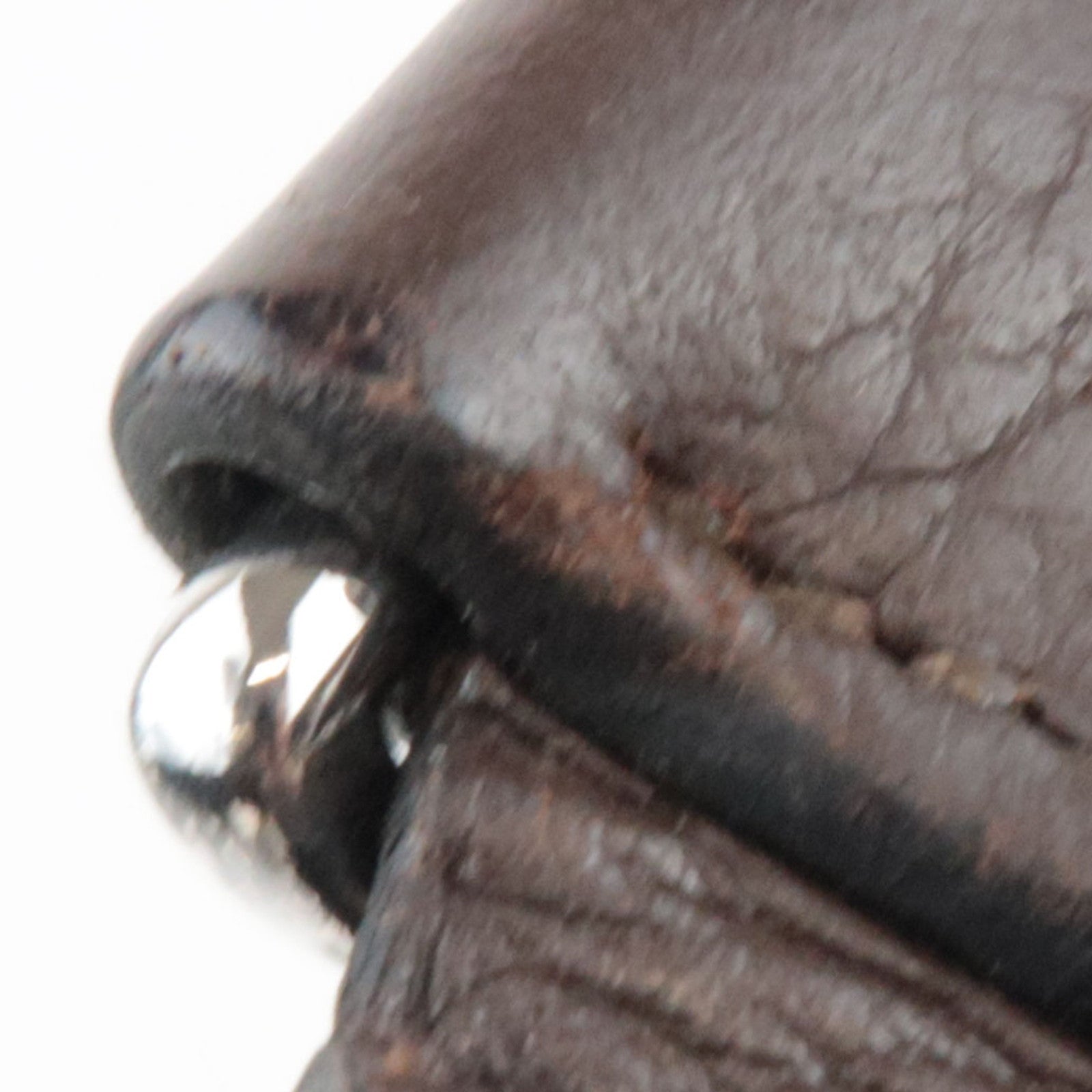 HERMES Evelyn 3 GM Shoulder Bag □M Stamp (2009) Taurillon Clemence Brown Silver HDW *Dust bag, Strap