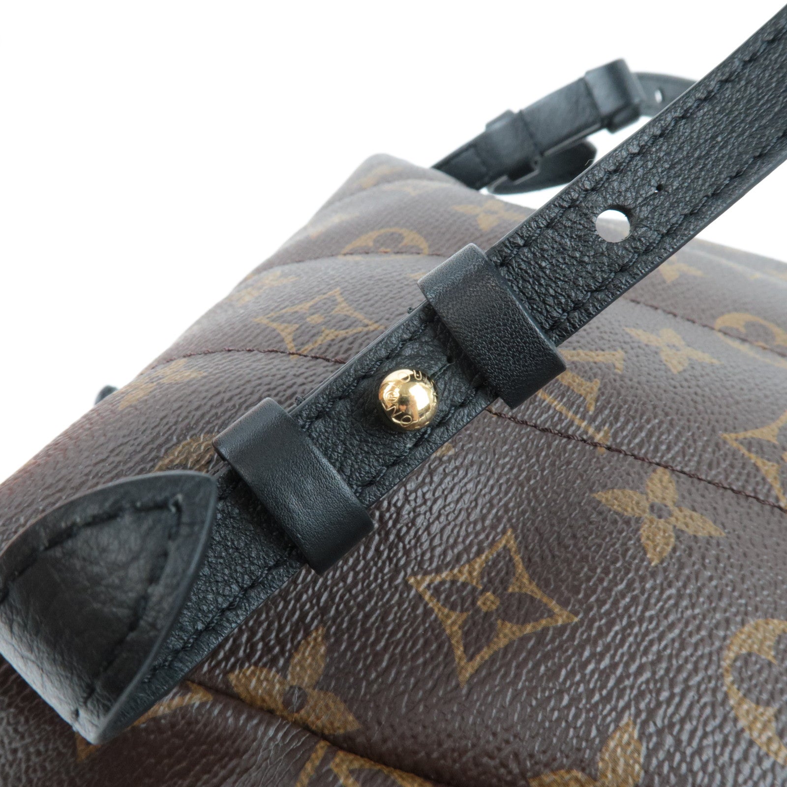 Louis Vuitton Monogram Reverse Palm Springs PM Backpack New Model M44870 FL4109