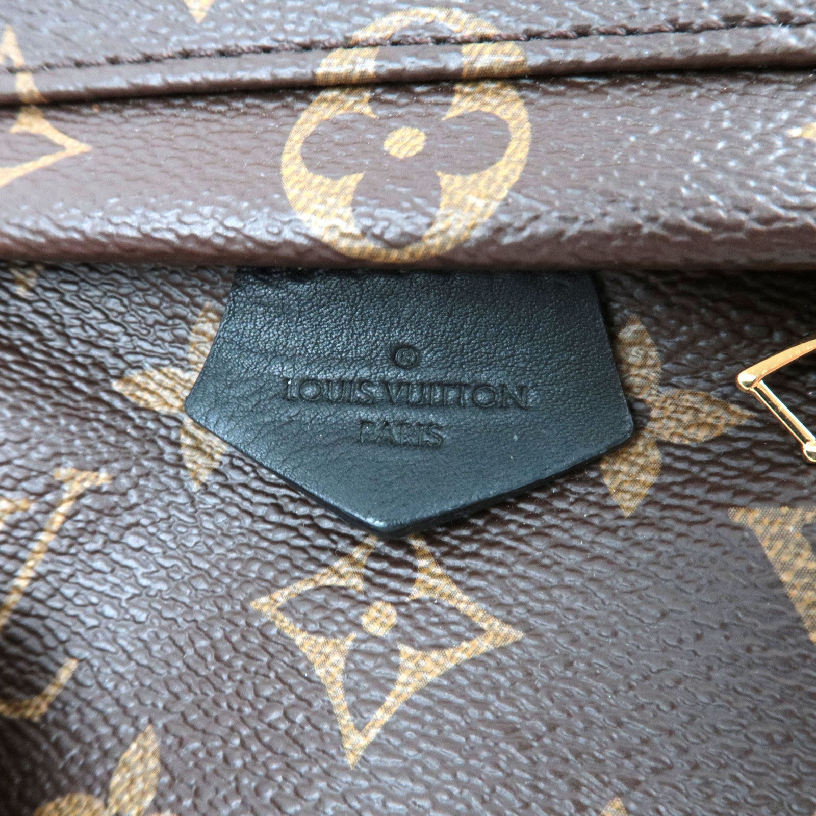 Louis Vuitton Monogram Palm Springs Mini Backpack M41562 CA0198