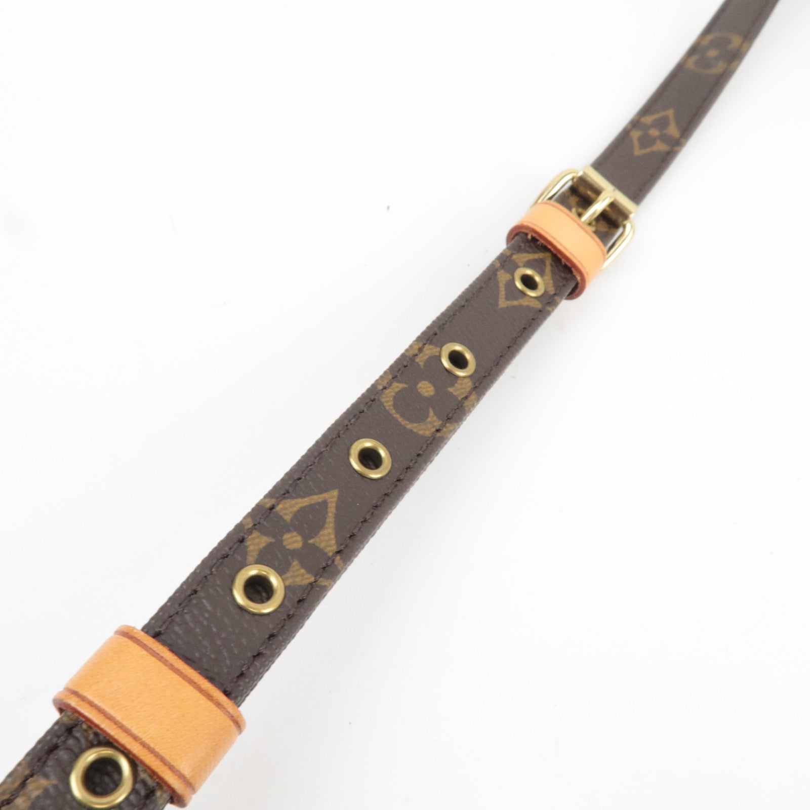 Louis Vuitton Monogram Amazon Shoulder Bag M45236 TH1027