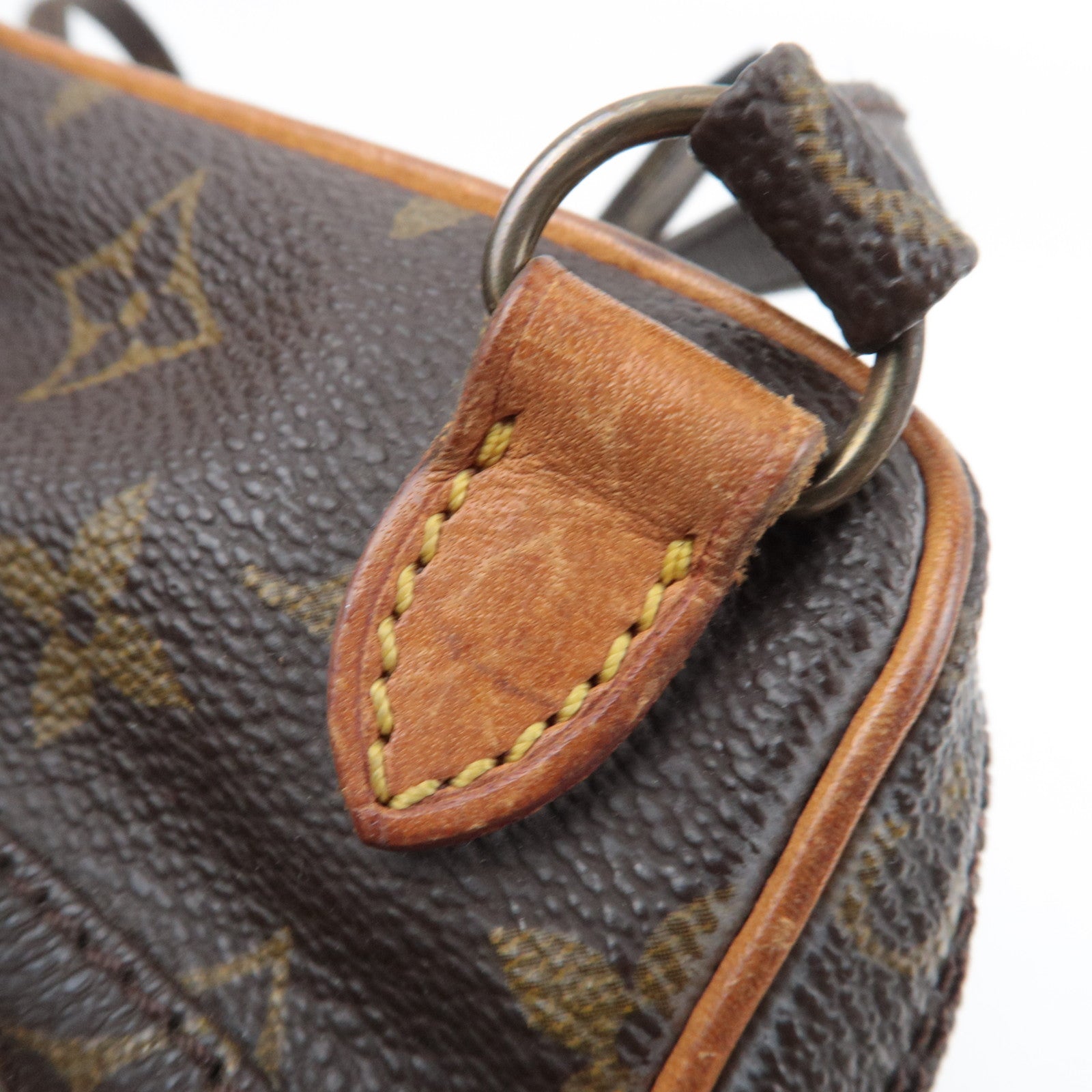 Louis Vuitton Monogram Mini Amazon Shoulder Bag M45238 854