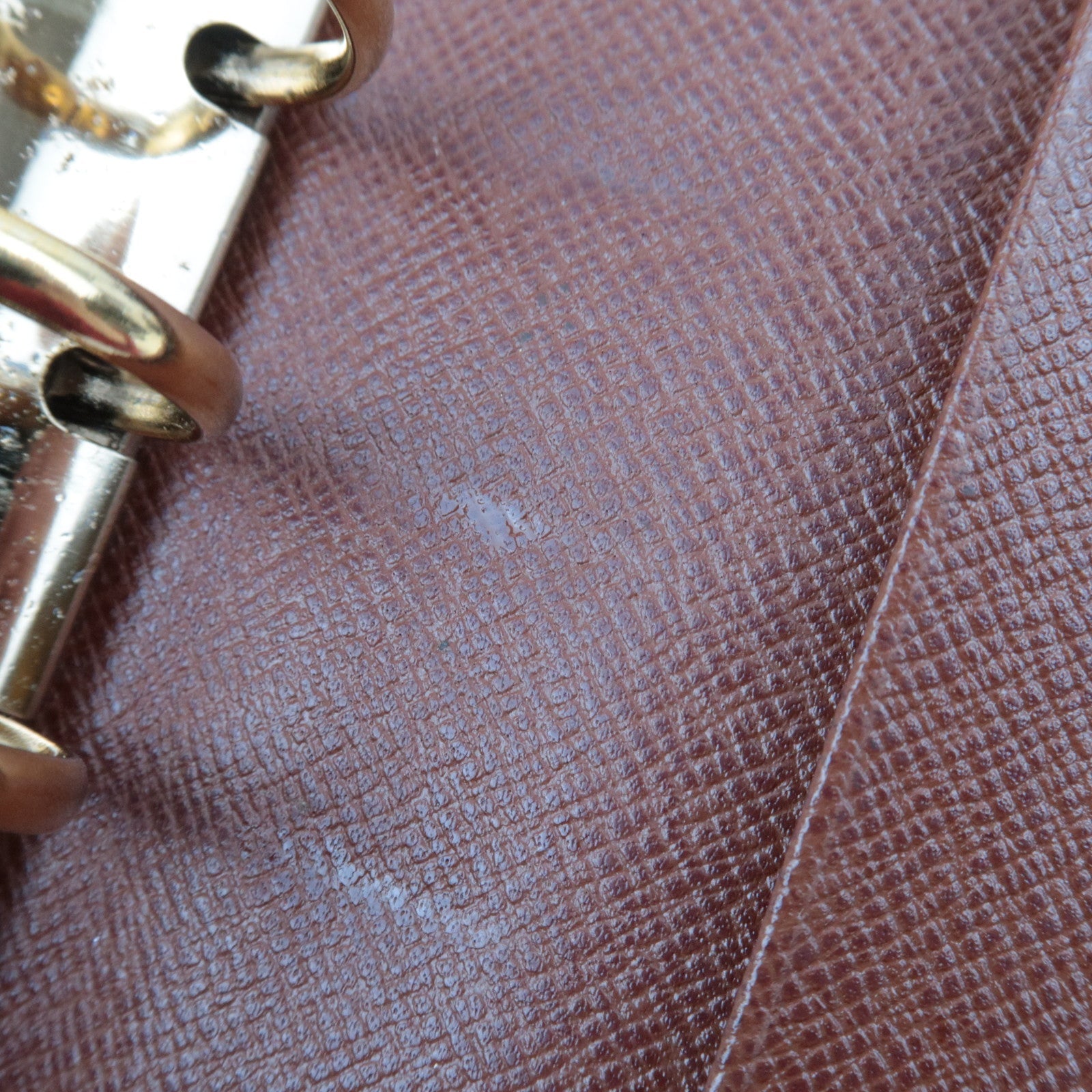 Louis Vuitton Monogram Agenda MM Planner Cover R20105 SP0073