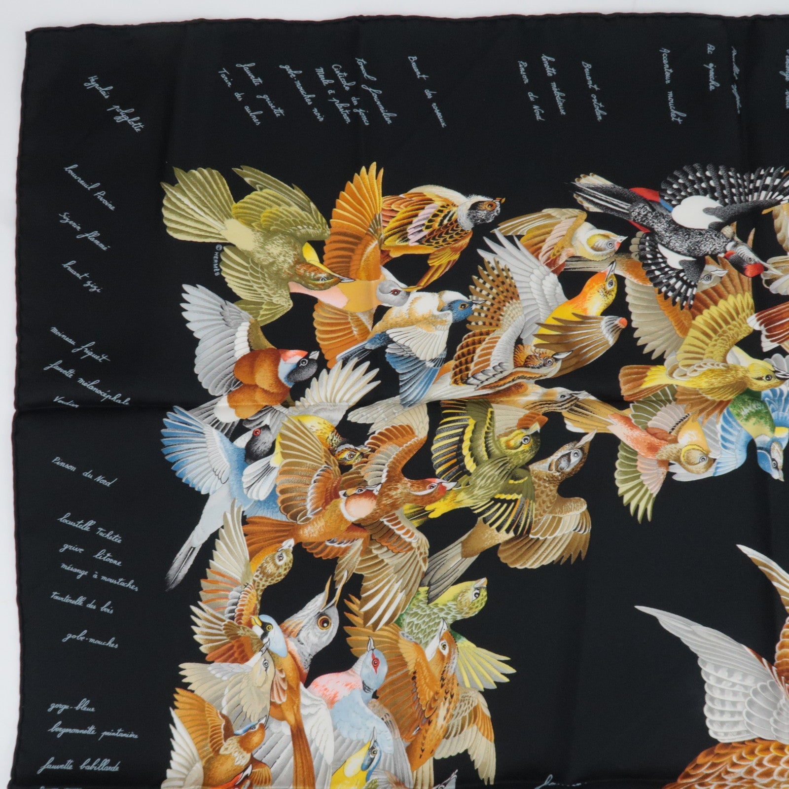 HERMES Carre 90 Scarf L'intrus 100% Silk Black