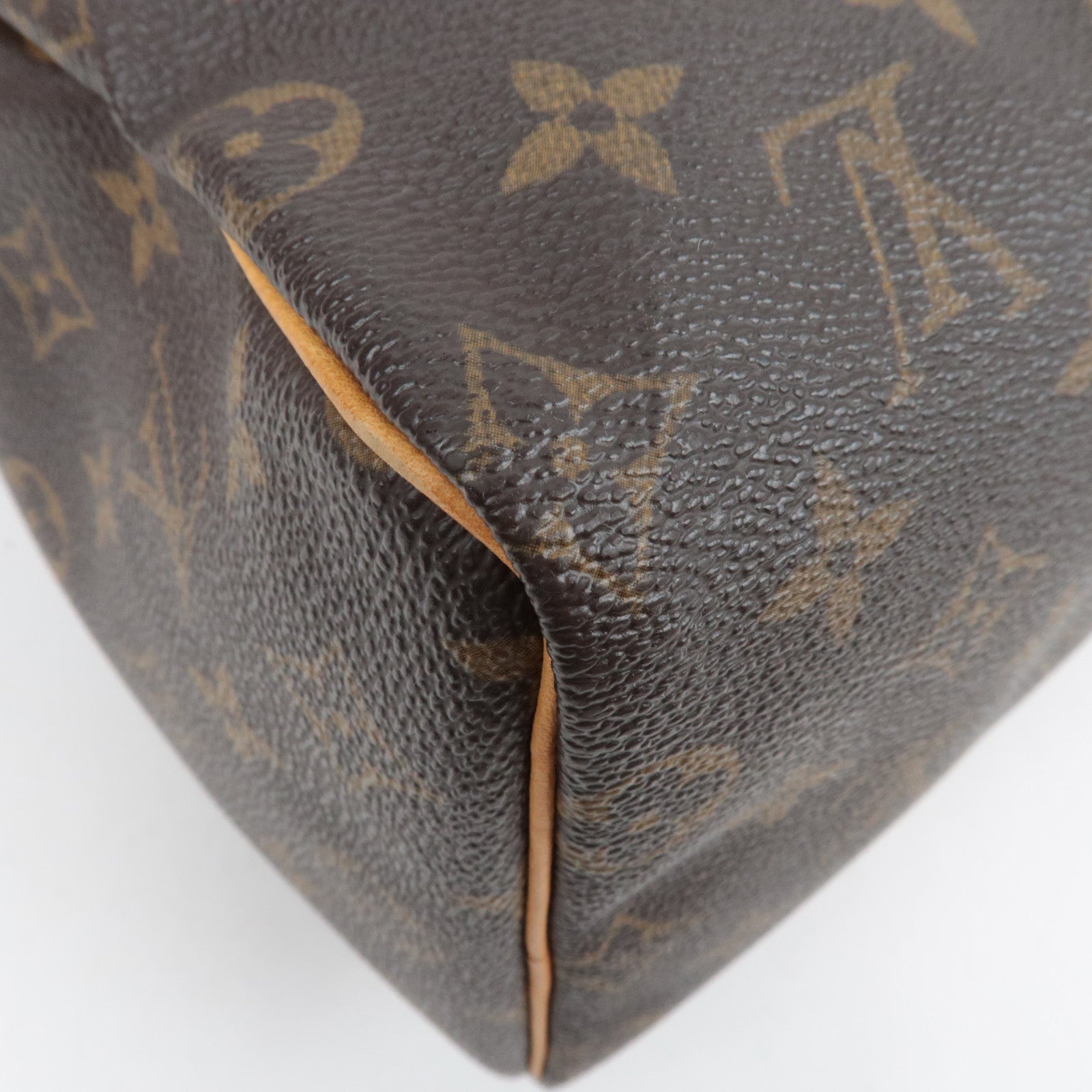 Louis Vuitton Monogram Speedy 25 Handbag M41528