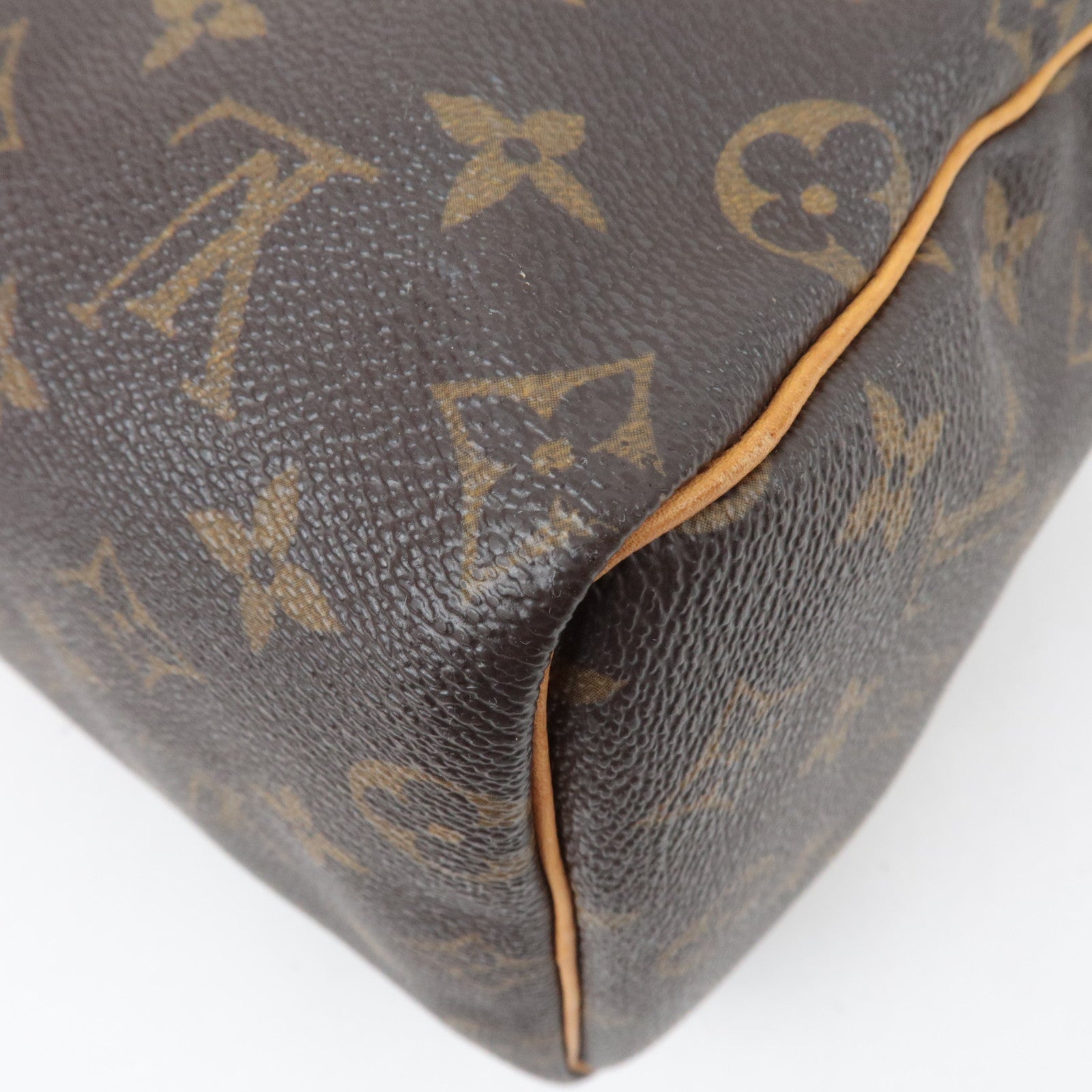 Louis Vuitton Monogram Speedy 25 Handbag M41528