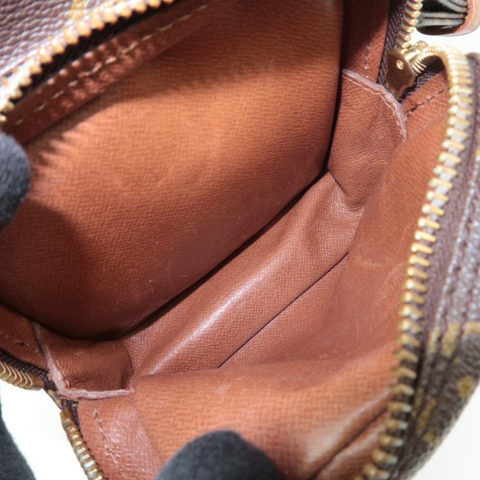 Louis Vuitton Monogram Mini Amazon Shoulder Bag M45238