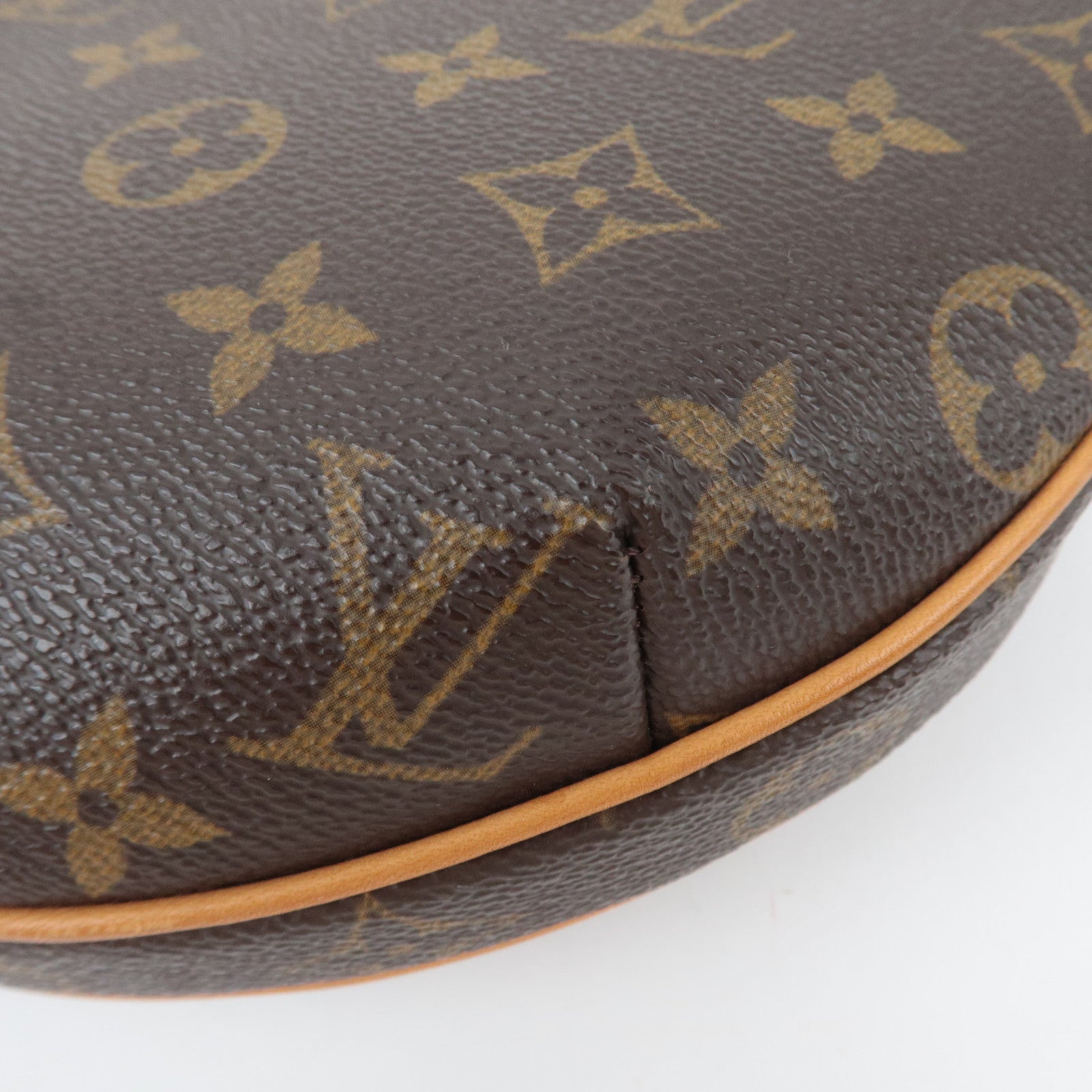 Louis Vuitton Monogram Pochette Croissant Shoulder Bag M51510