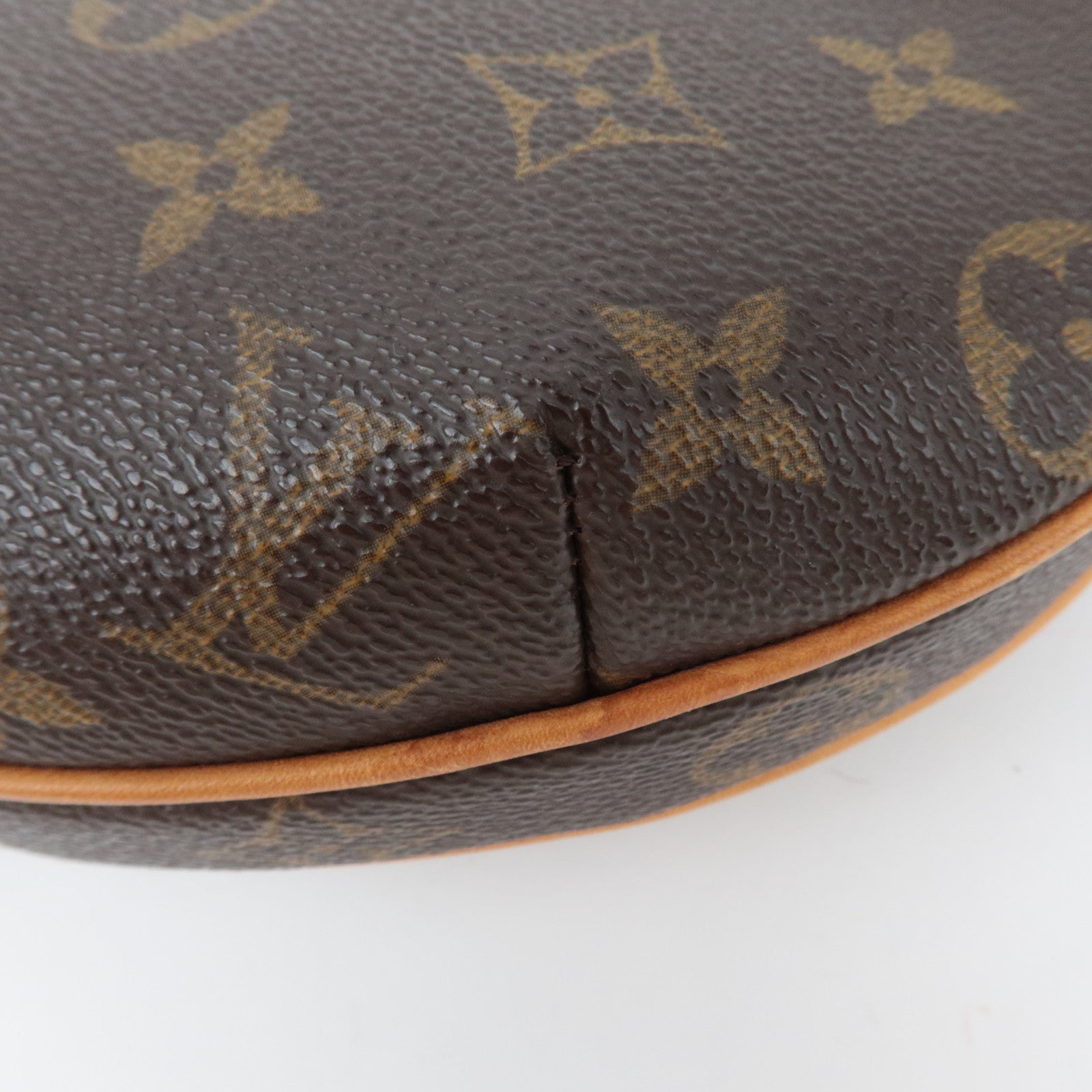 Louis Vuitton Monogram Pochette Croissant Shoulder Bag M51510