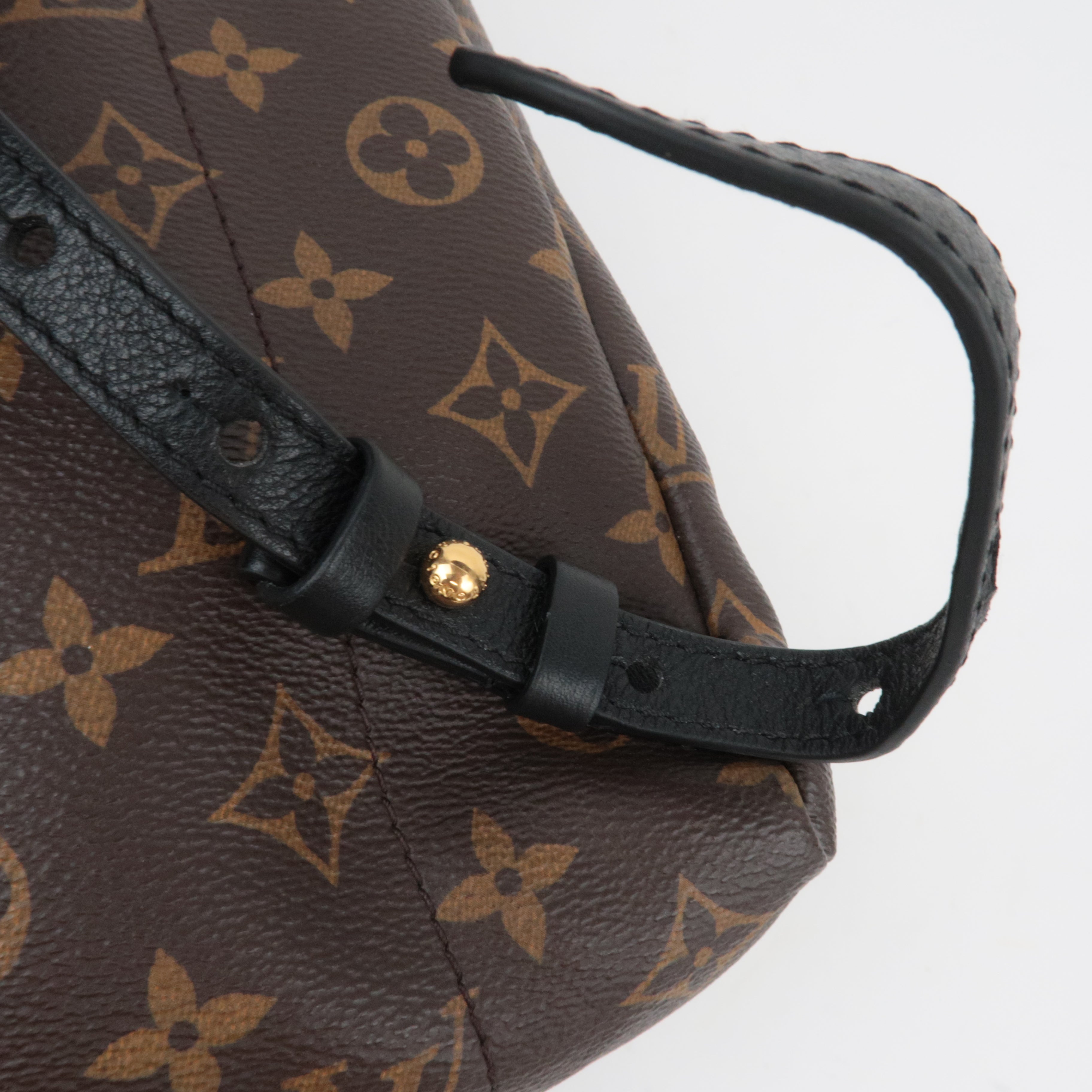 Louis Vuitton Monogram Palm Springs PMm Backpack M41560