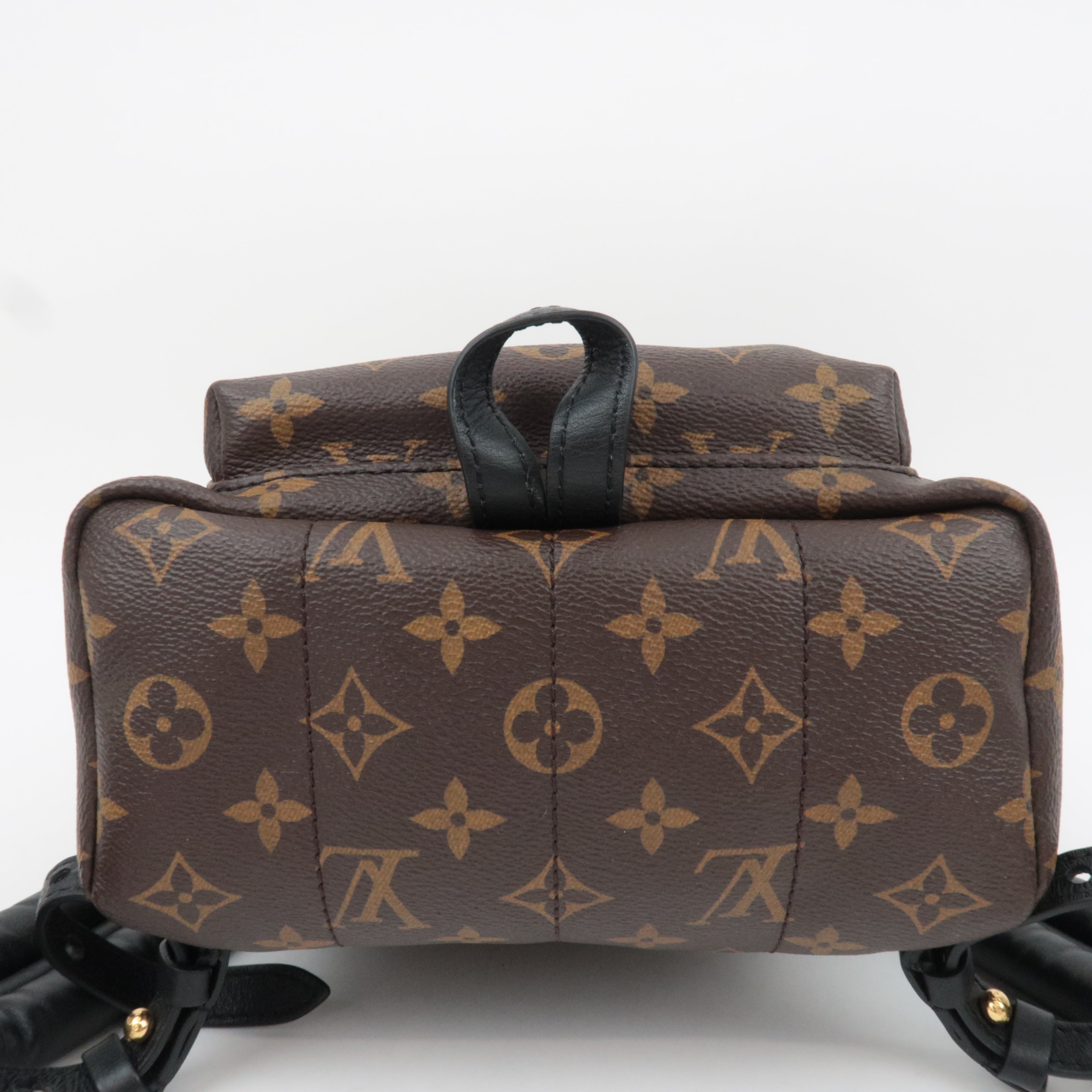 Louis Vuitton Monogram Palm Springs PMm Backpack M41560