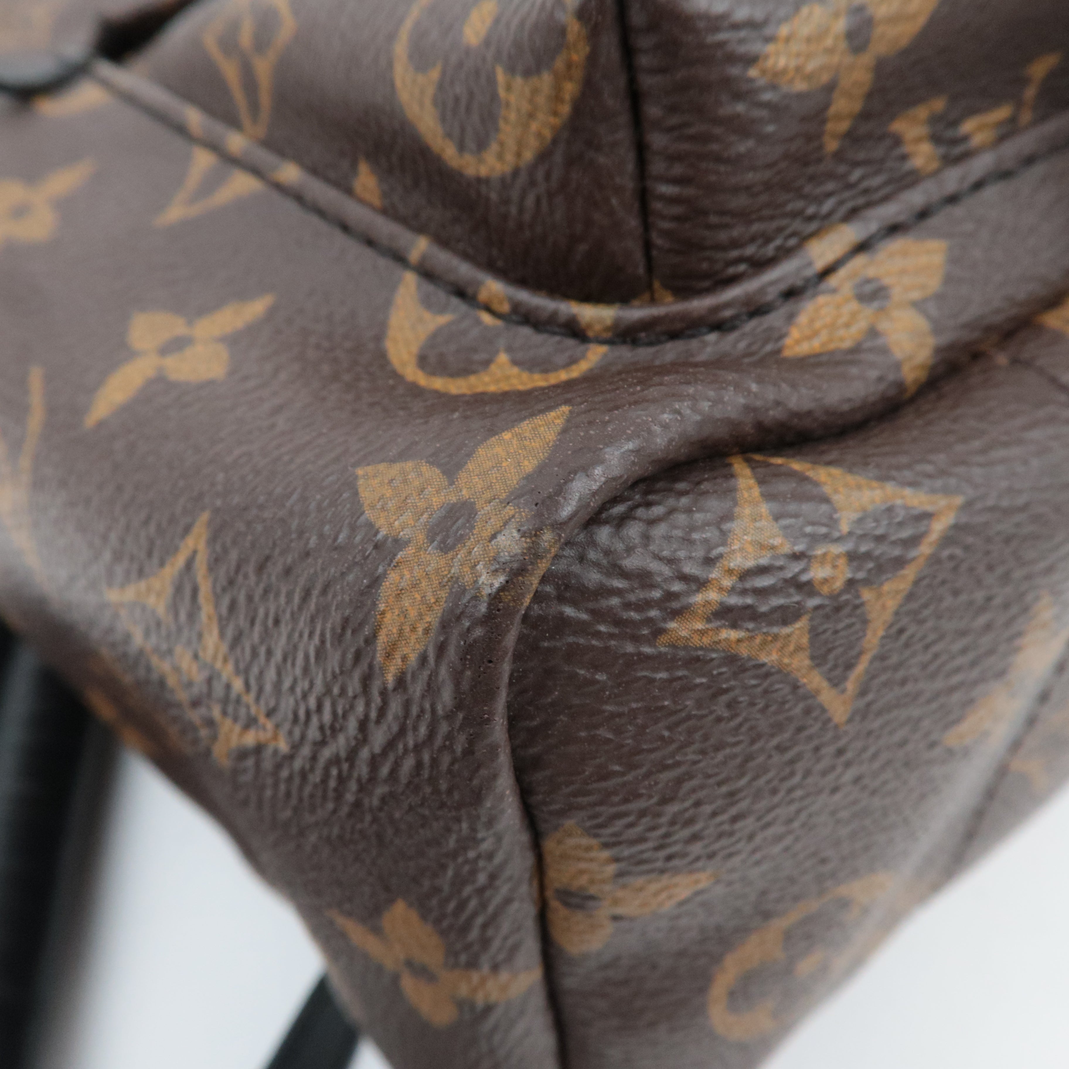 Louis Vuitton Monogram Palm Springs PMm Backpack M41560