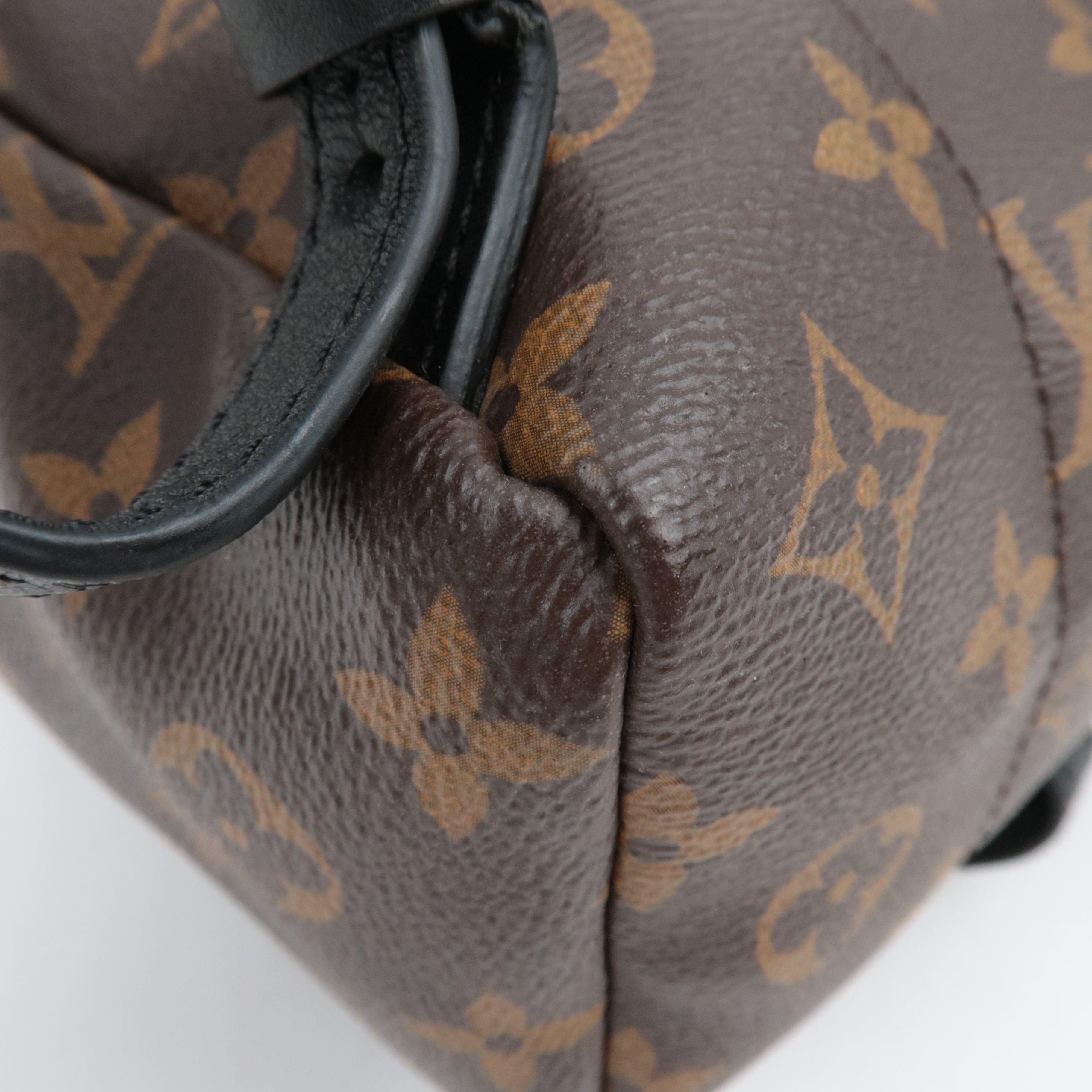 Louis Vuitton Monogram Palm Springs PMm Backpack M41560