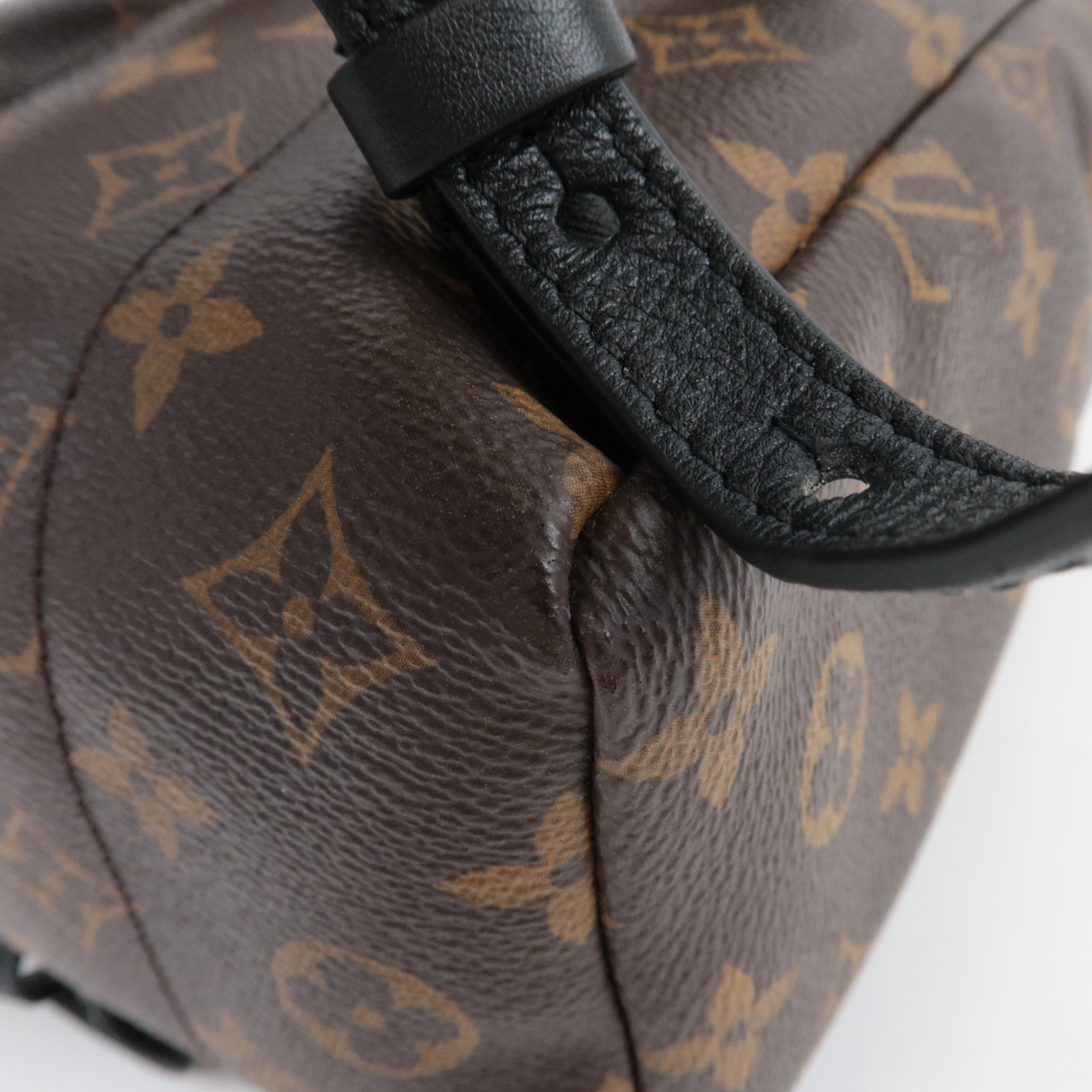 Louis Vuitton Monogram Palm Springs PMm Backpack M41560
