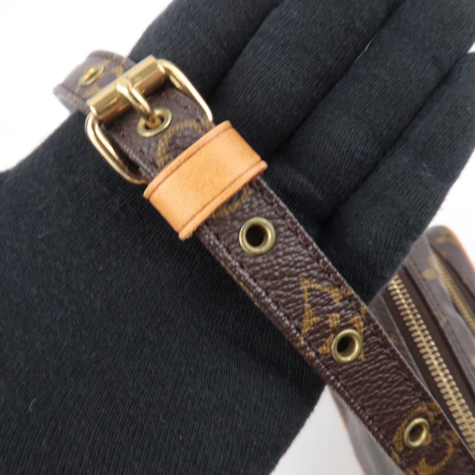 Louis Vuitton Monogram Amazon Shoulder Bag M45236