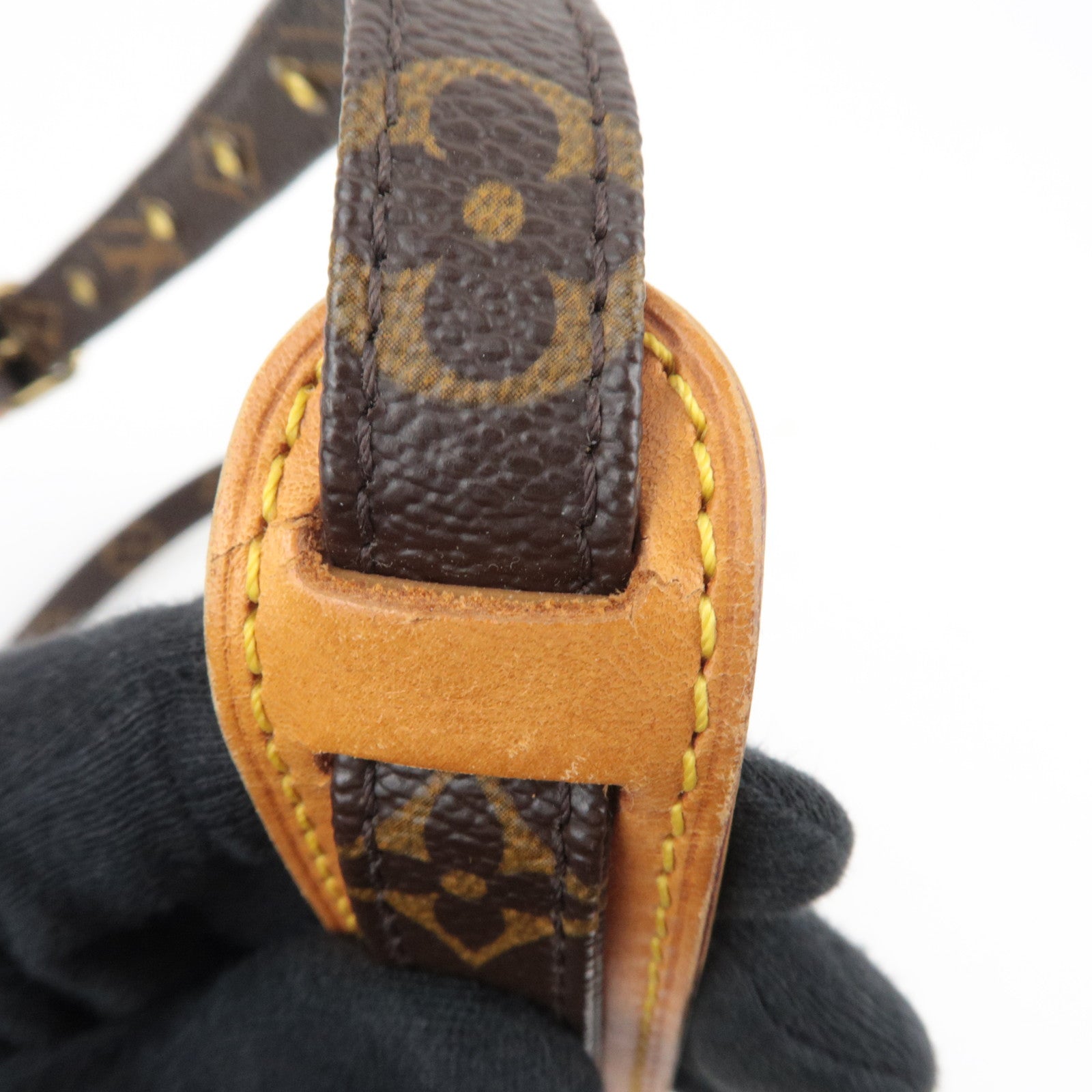 Louis Vuitton Monogram Amazon Shoulder Bag M45236