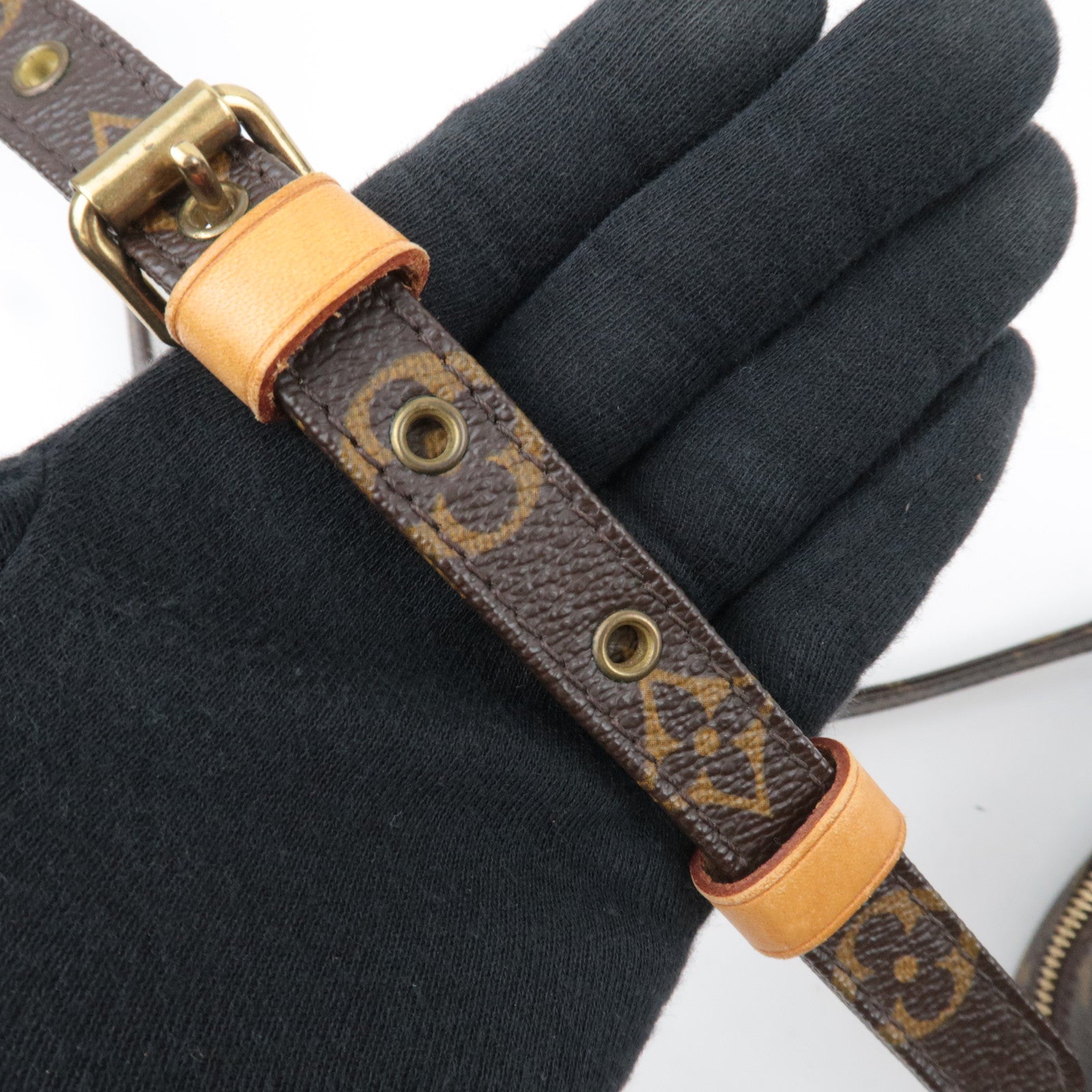 Louis Vuitton Monogram Amazon Shoulder Bag M45236