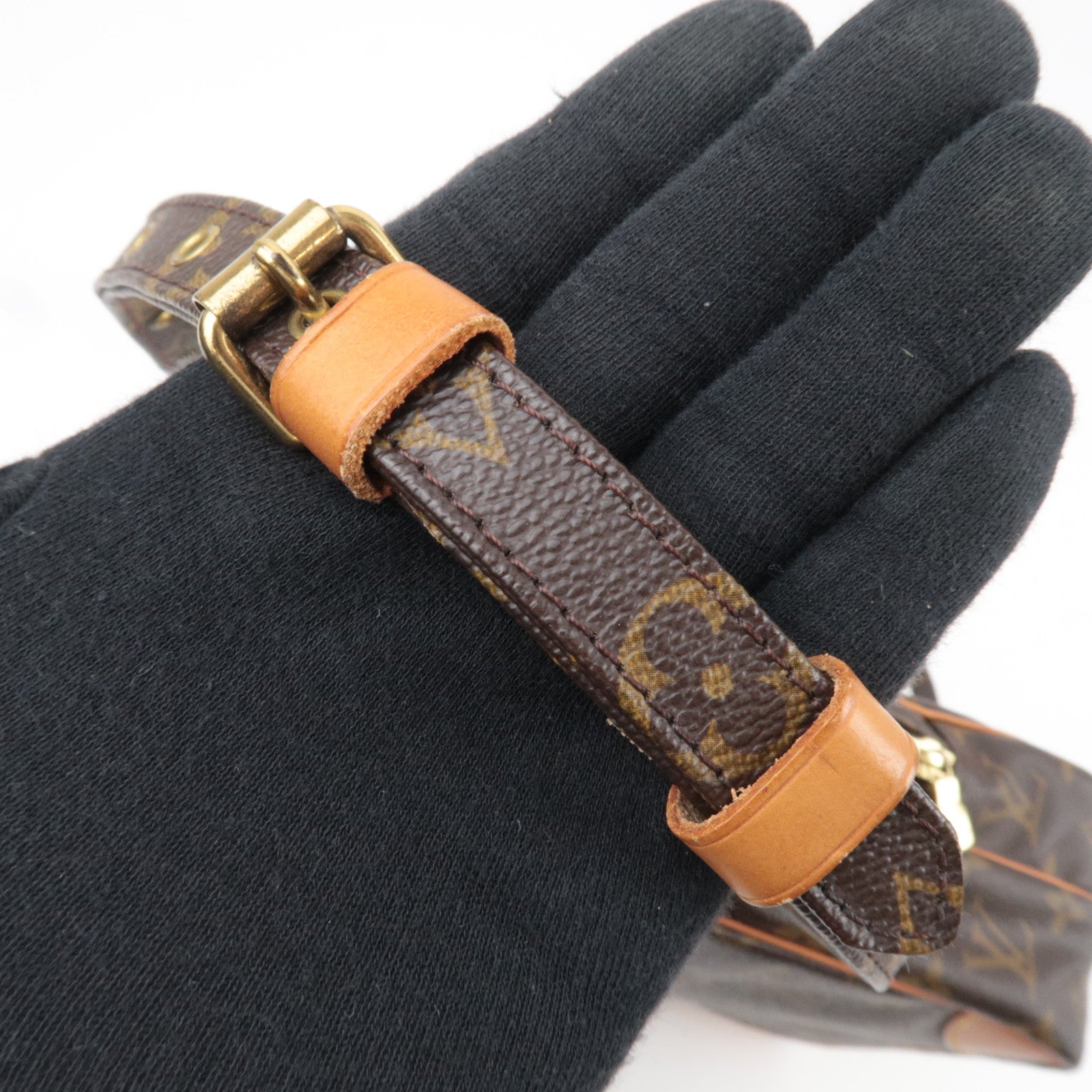 Louis Vuitton Monogram Amazon Shoulder Bag M45236