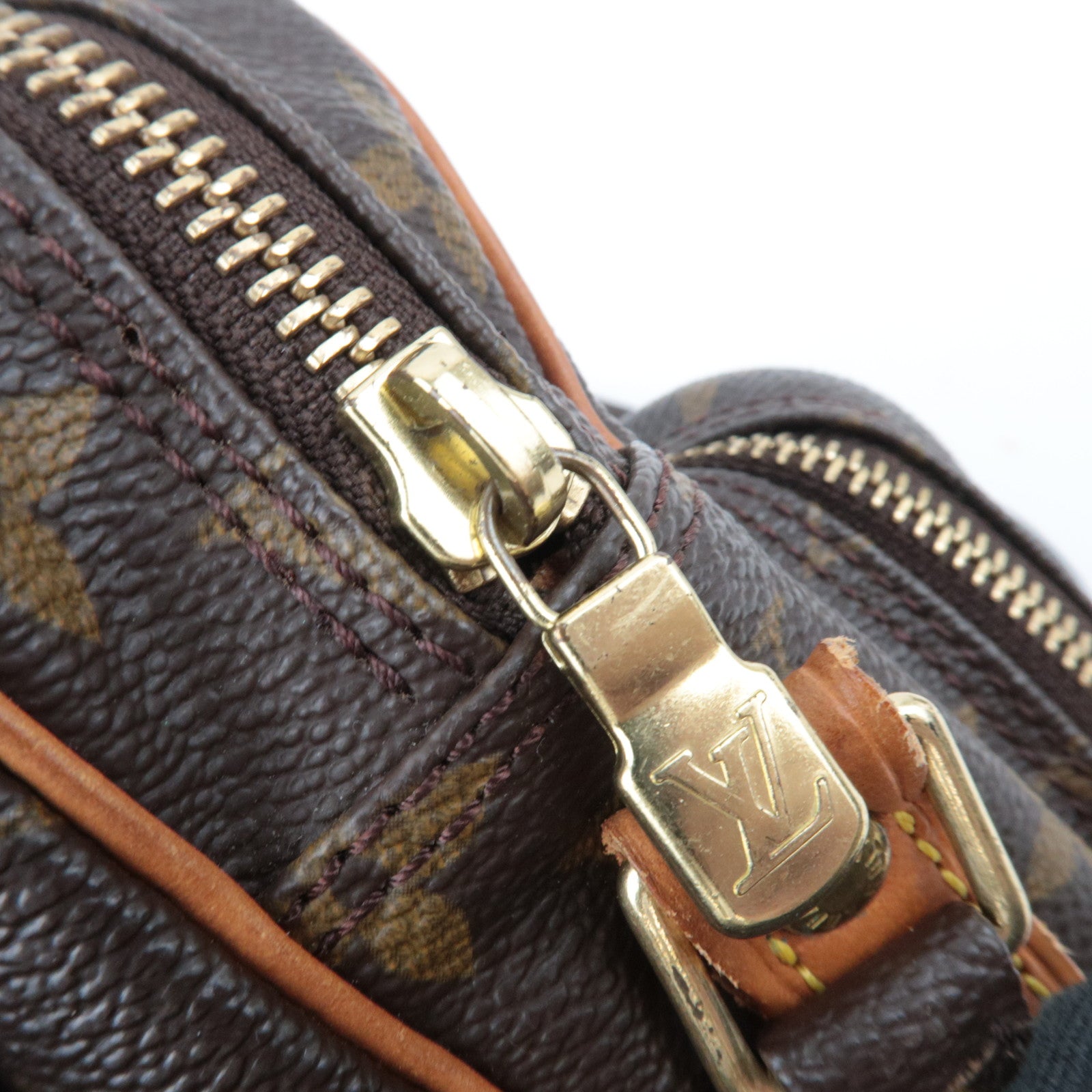 Louis Vuitton Monogram Amazon Shoulder Bag M45236