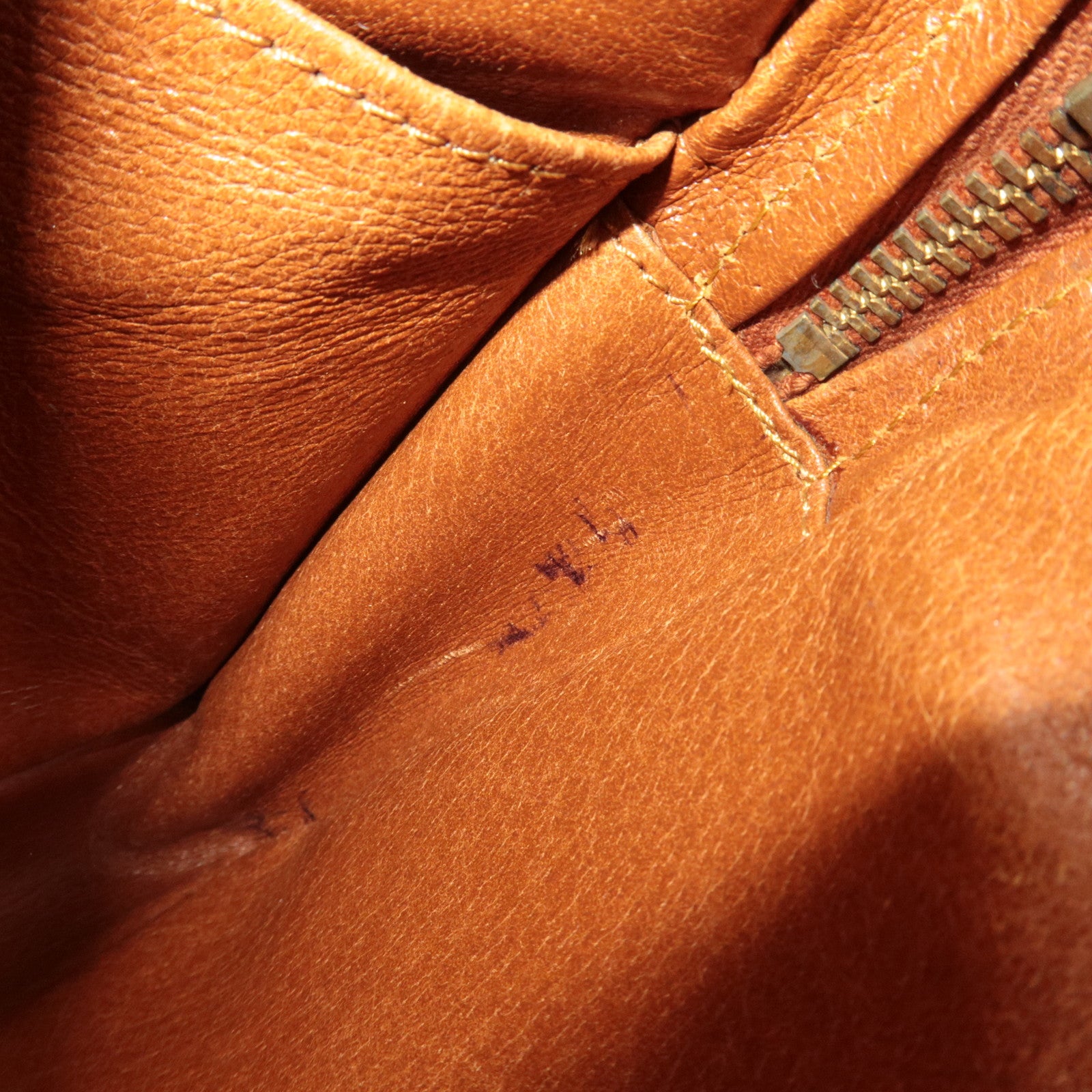 Louis Vuitton Monogram Mini Amazon Shoulder Bag M45238