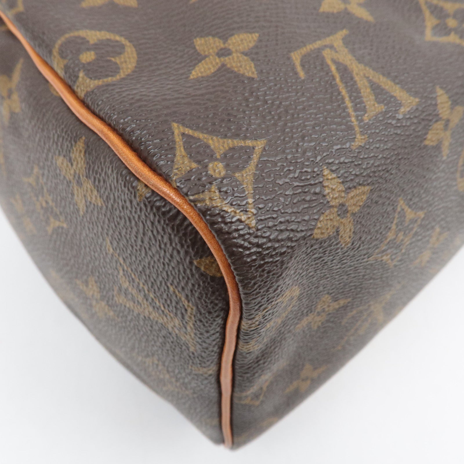 Louis Vuitton Monogram Speedy 25 Handbag M41528
