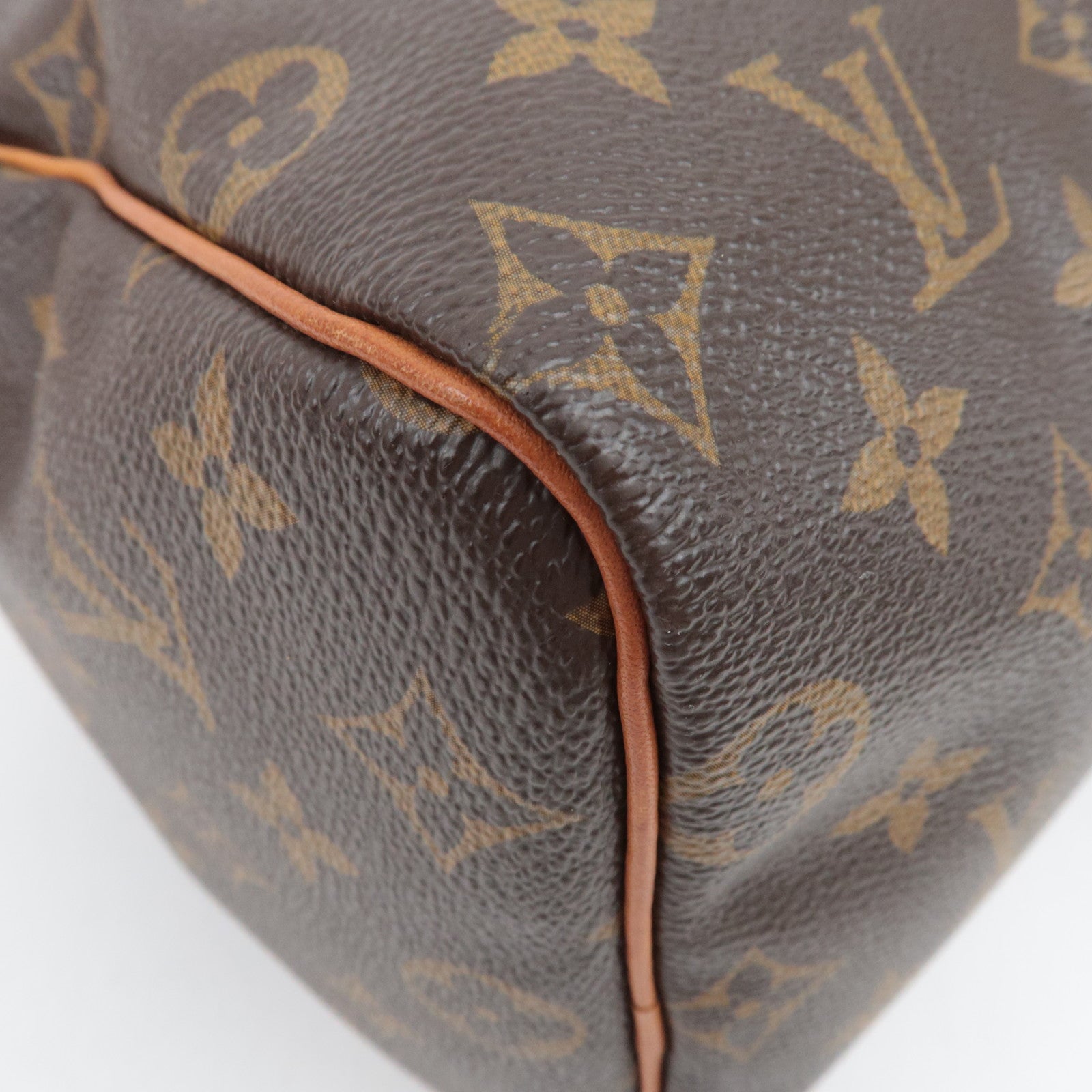 Louis Vuitton Monogram Speedy 25 Handbag M41528