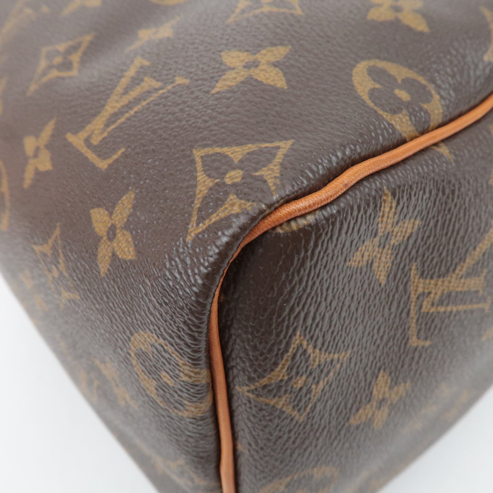 Louis Vuitton Monogram Speedy 25 Handbag M41528