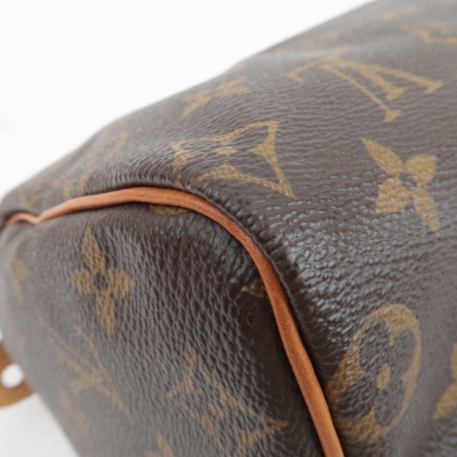 Louis Vuitton Monogram Speedy 25 Handbag M41528