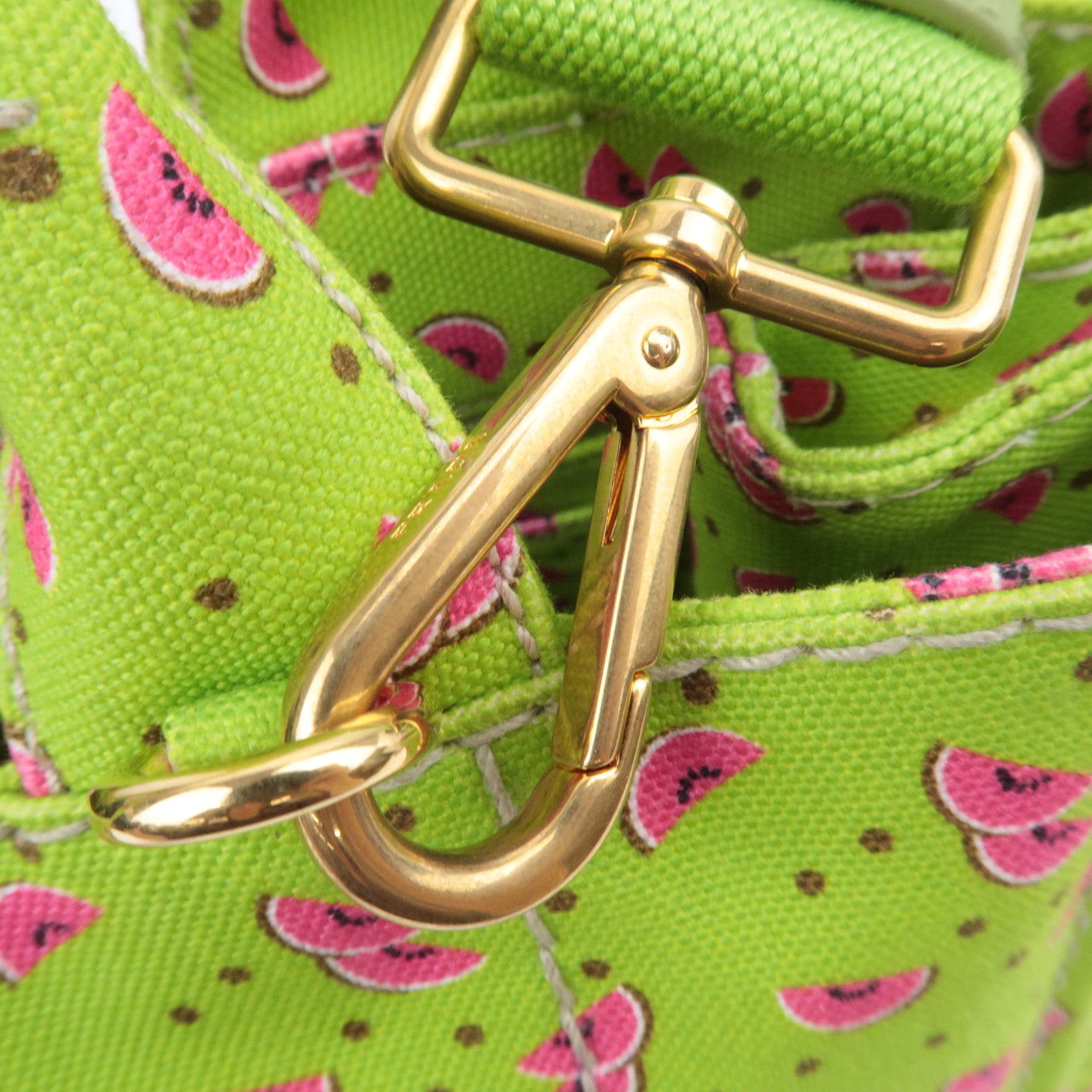 PRADA Canapa Mini 2Way Canvas Tote Bag Watermelon Print Light Green 1BG439