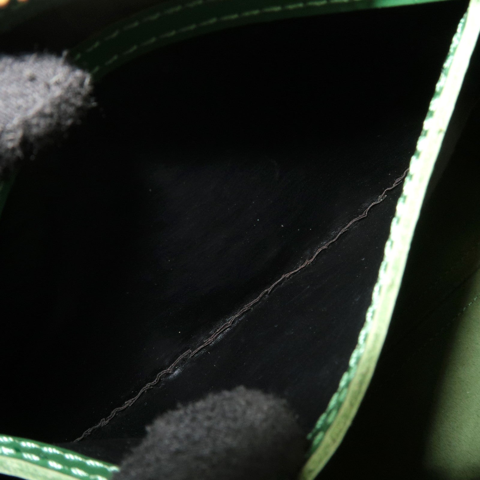 Louis Vuitton Epi Speedy 25 Handbag Borneo Green M43014