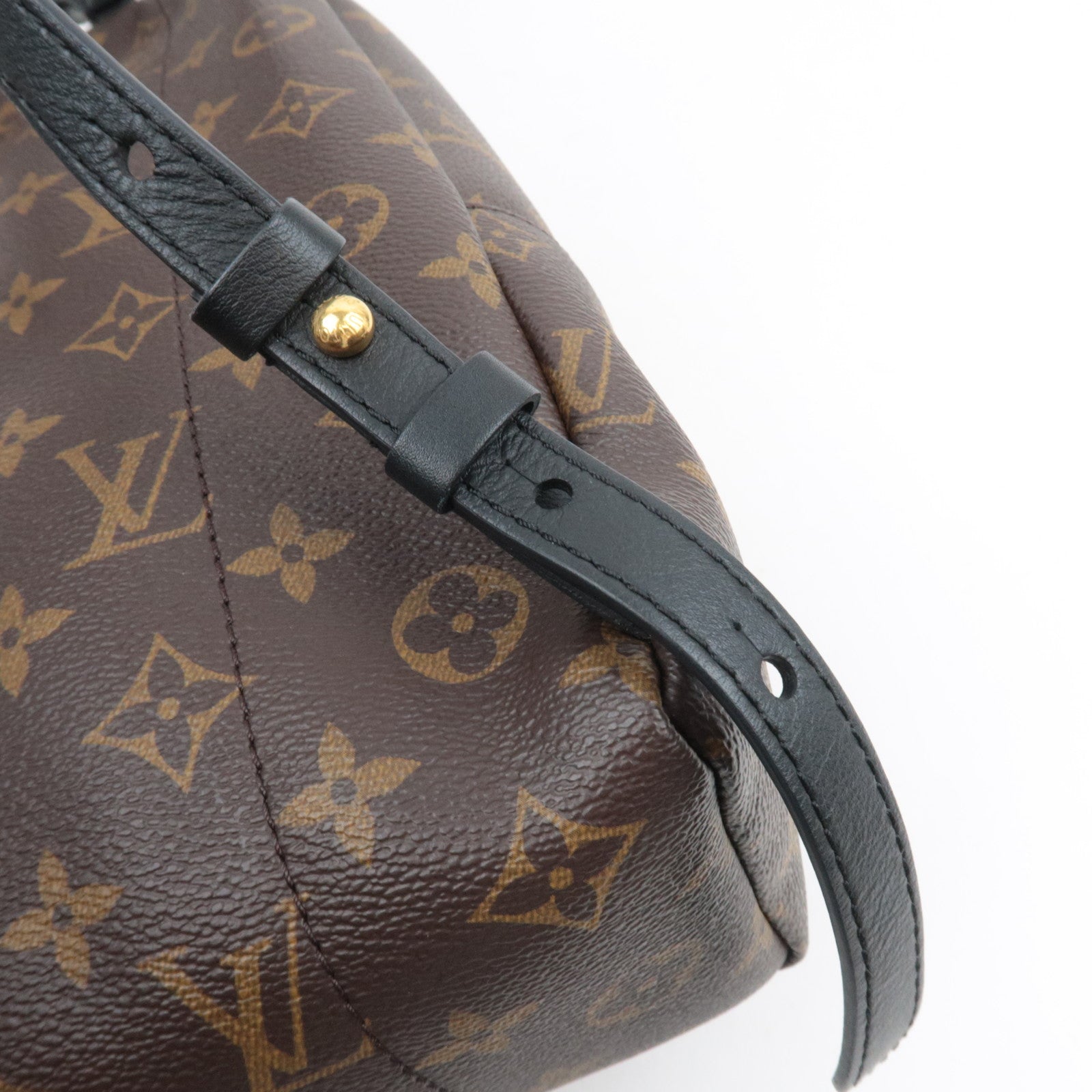 Louis Vuitton Monogram Palm Springs Backpack PM New Model M44871