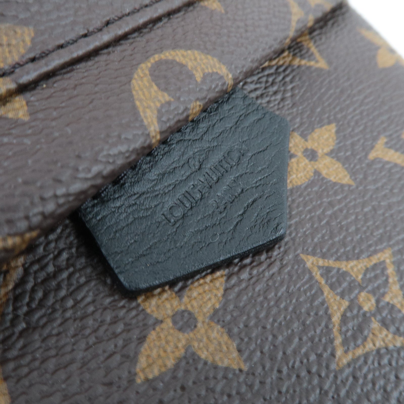 Louis Vuitton Monogram Palm Springs Backpack PM New Model M44871