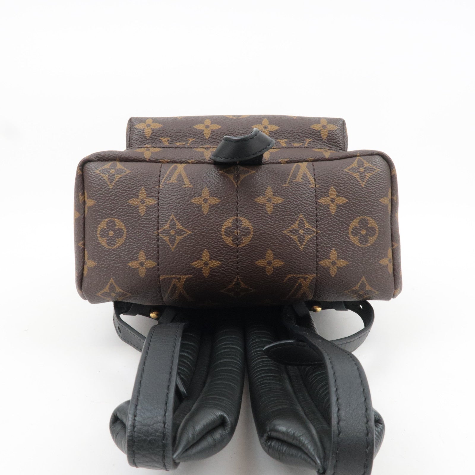 Louis Vuitton Monogram Palm Springs Backpack PM New Model M44871