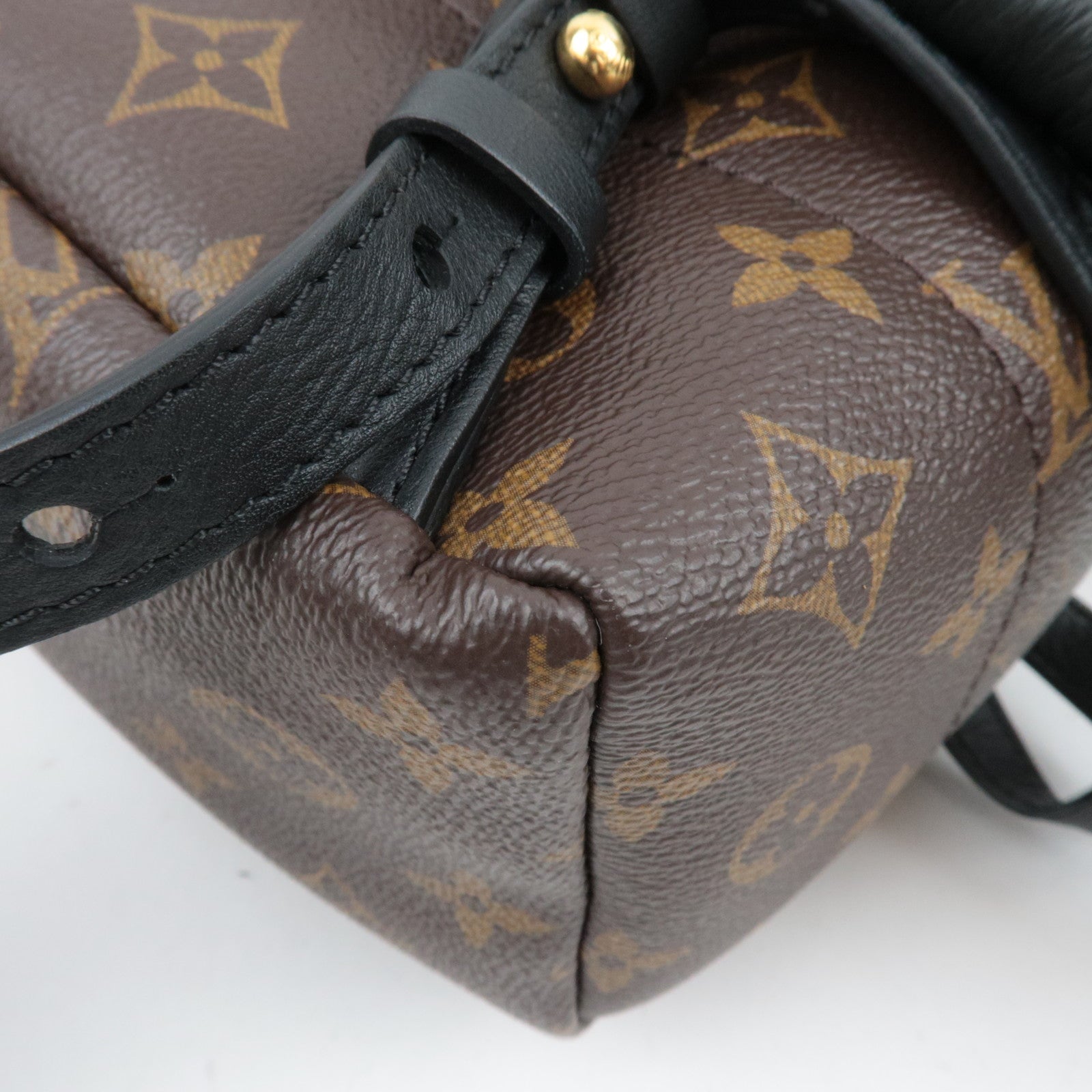 Louis Vuitton Monogram Palm Springs Backpack PM New Model M44871