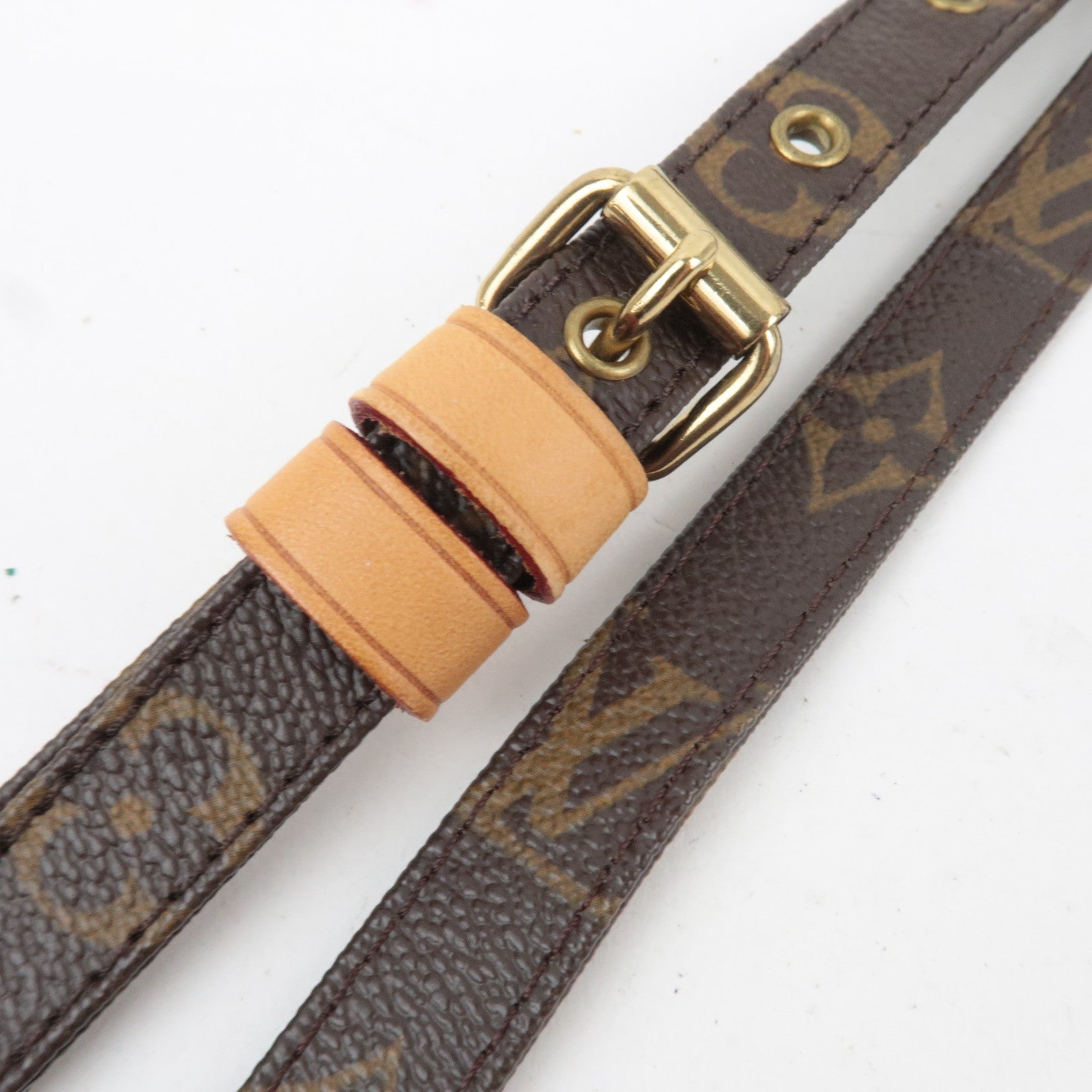 Louis Vuitton Monogram Amazon Shoulder Bag M45236