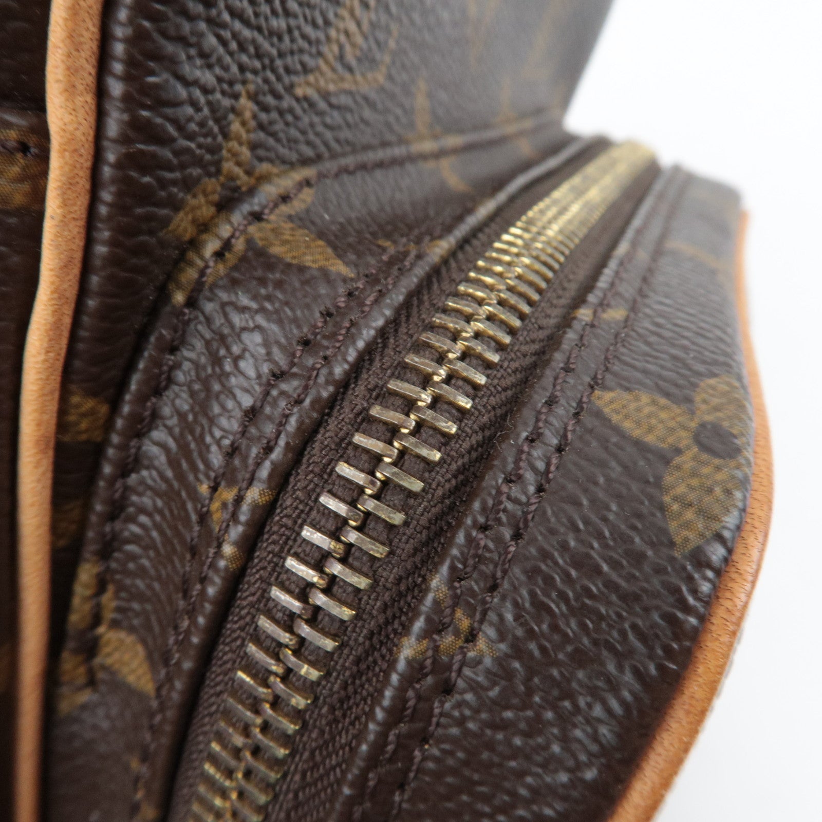 Louis Vuitton Monogram Amazon Shoulder Bag M45236