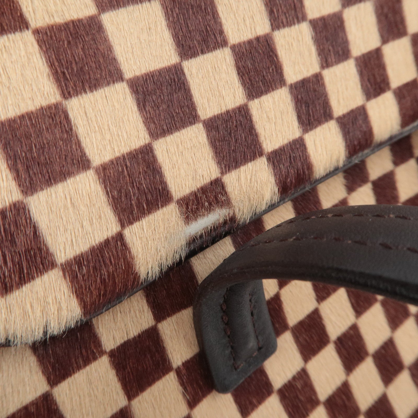 Louis Vuitton Damier Sauvage Lion Handbag Brown M92131
