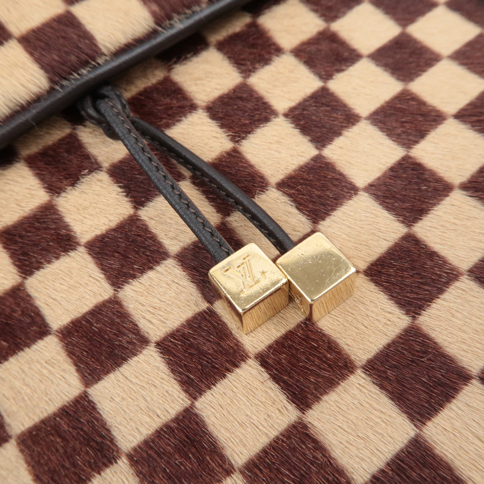 Louis Vuitton Damier Sauvage Lion Handbag Brown M92131