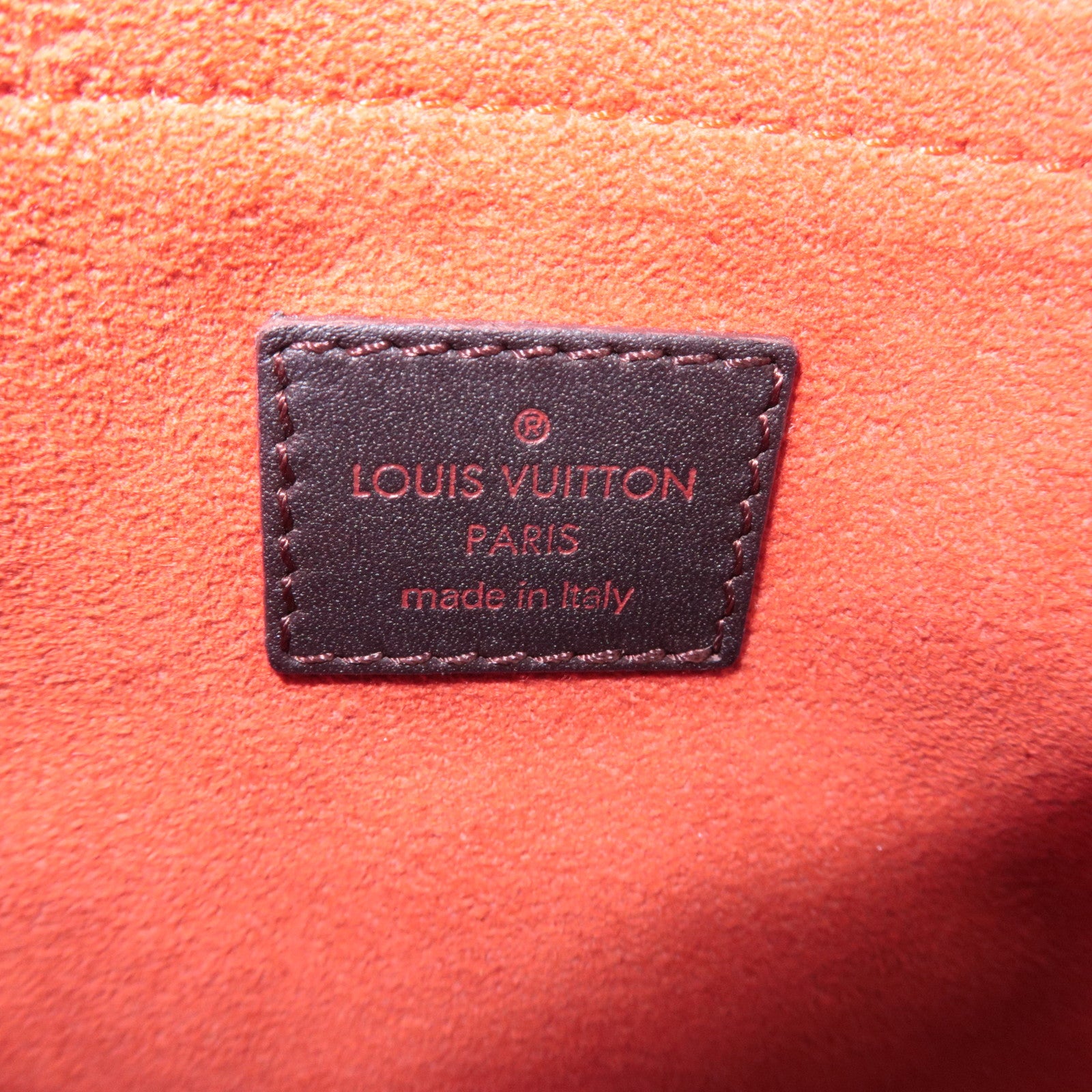 Louis Vuitton Damier Sauvage Lion Handbag Brown M92131