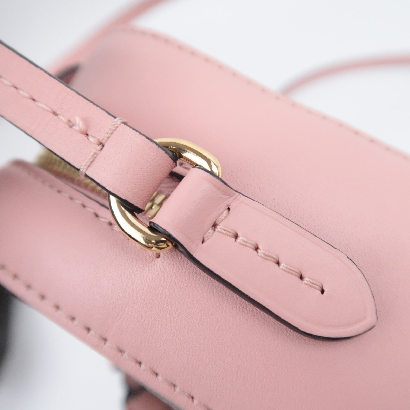 Louis Vuitton Monogram Saintonge Shoulder Bag Rose Poodle M44442
