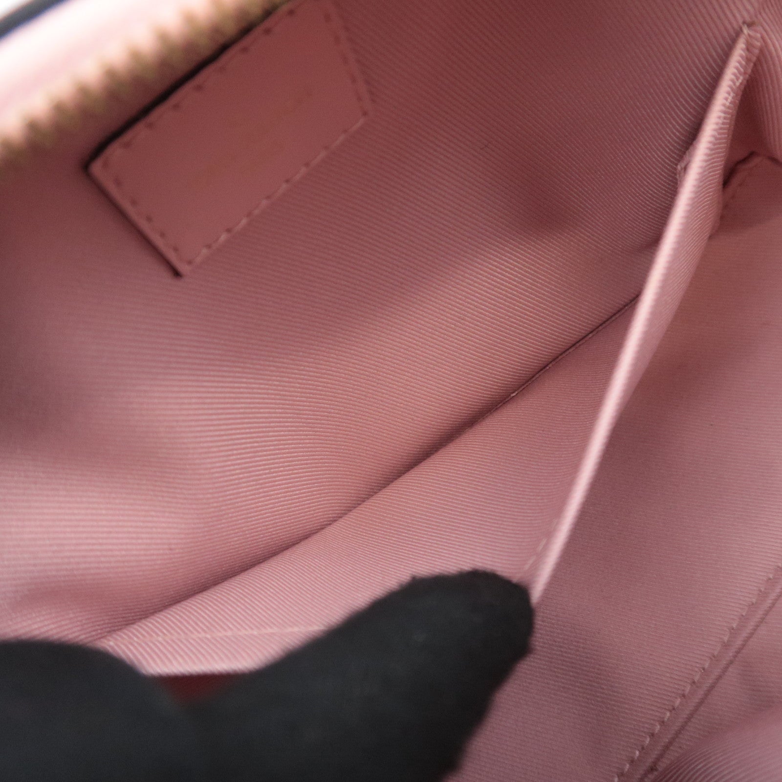 Louis Vuitton Monogram Saintonge Shoulder Bag Rose Poodle M44442