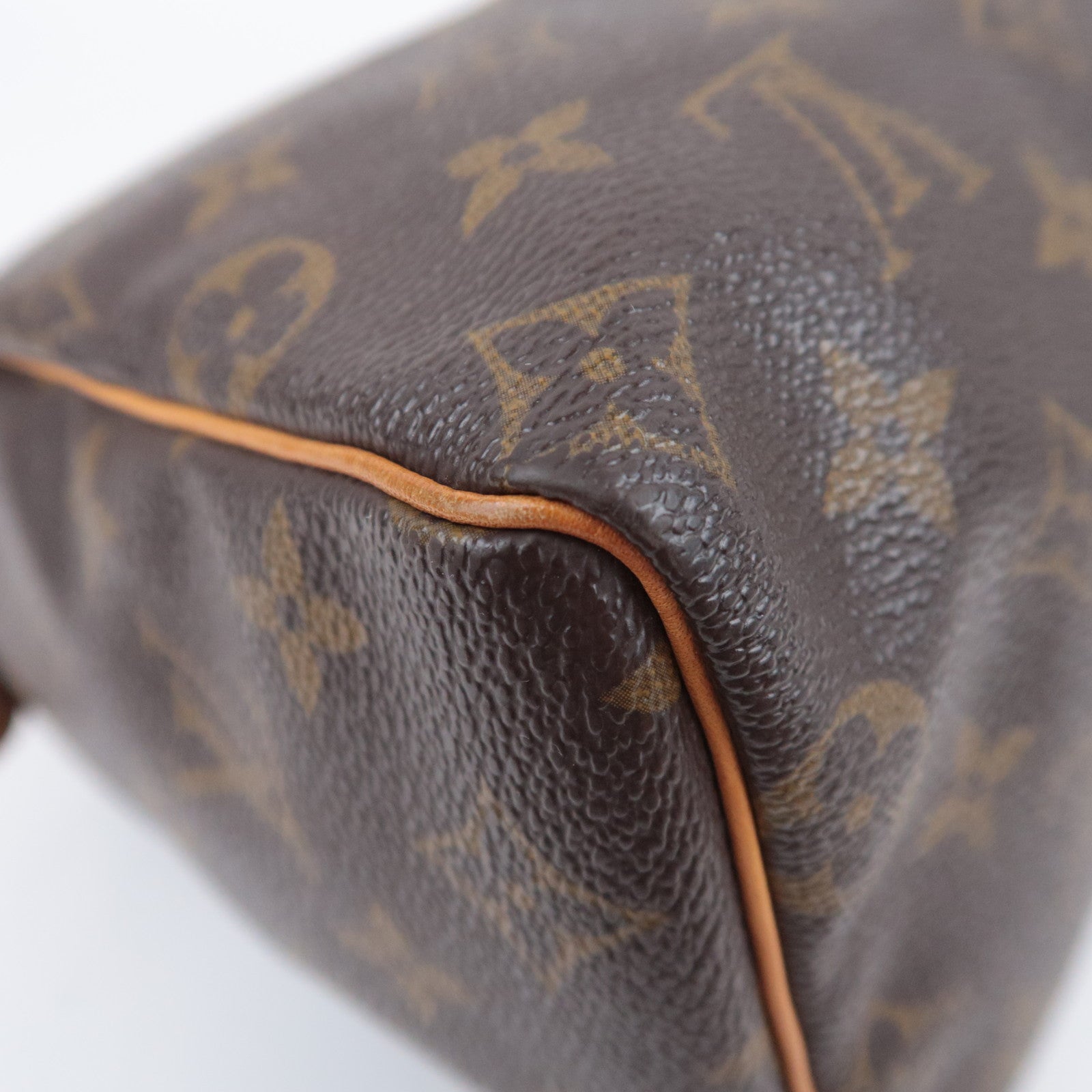 Louis Vuitton Monogram Speedy 25 Handbag M41528