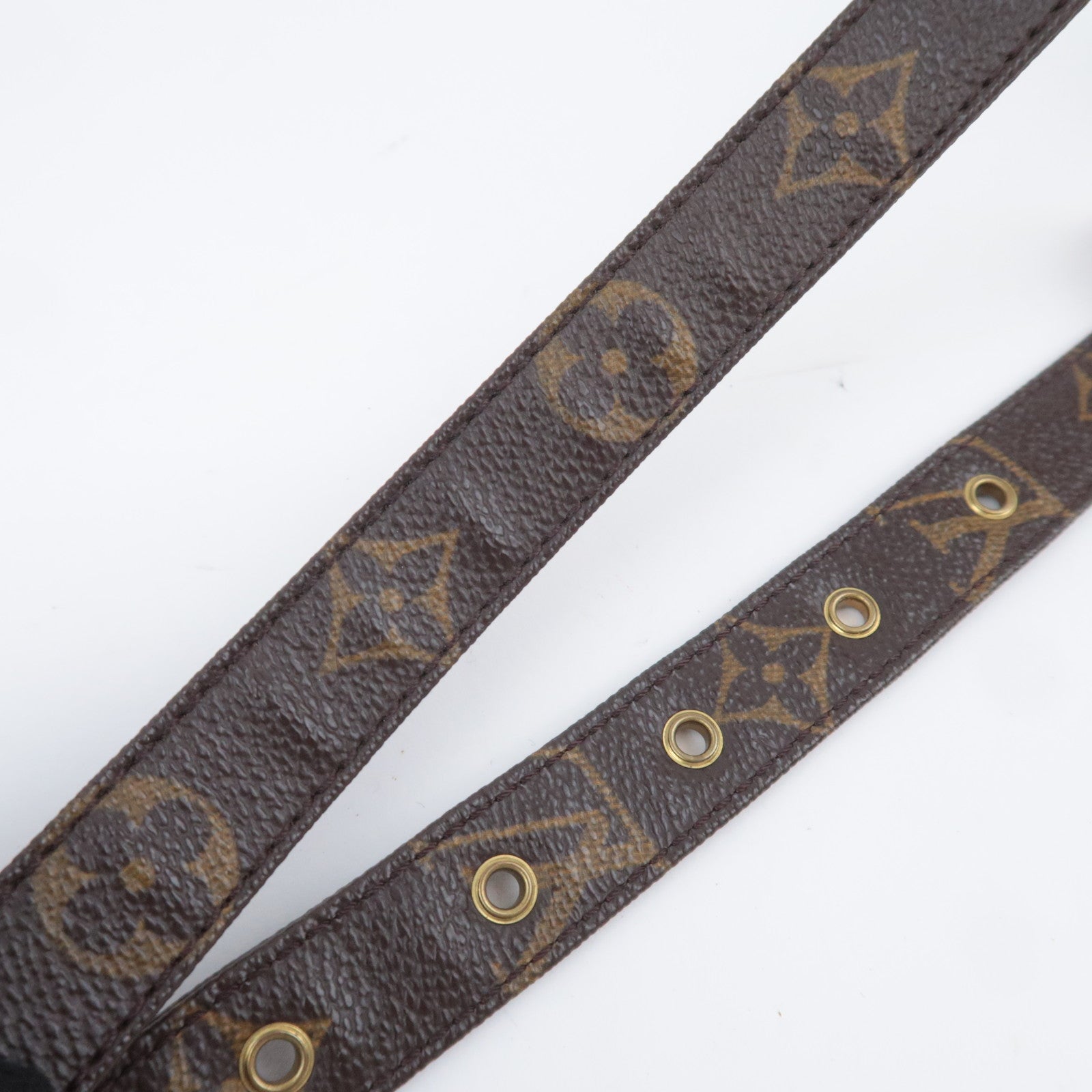 Louis Vuitton Monogram Nile Shoulder Bag M45244