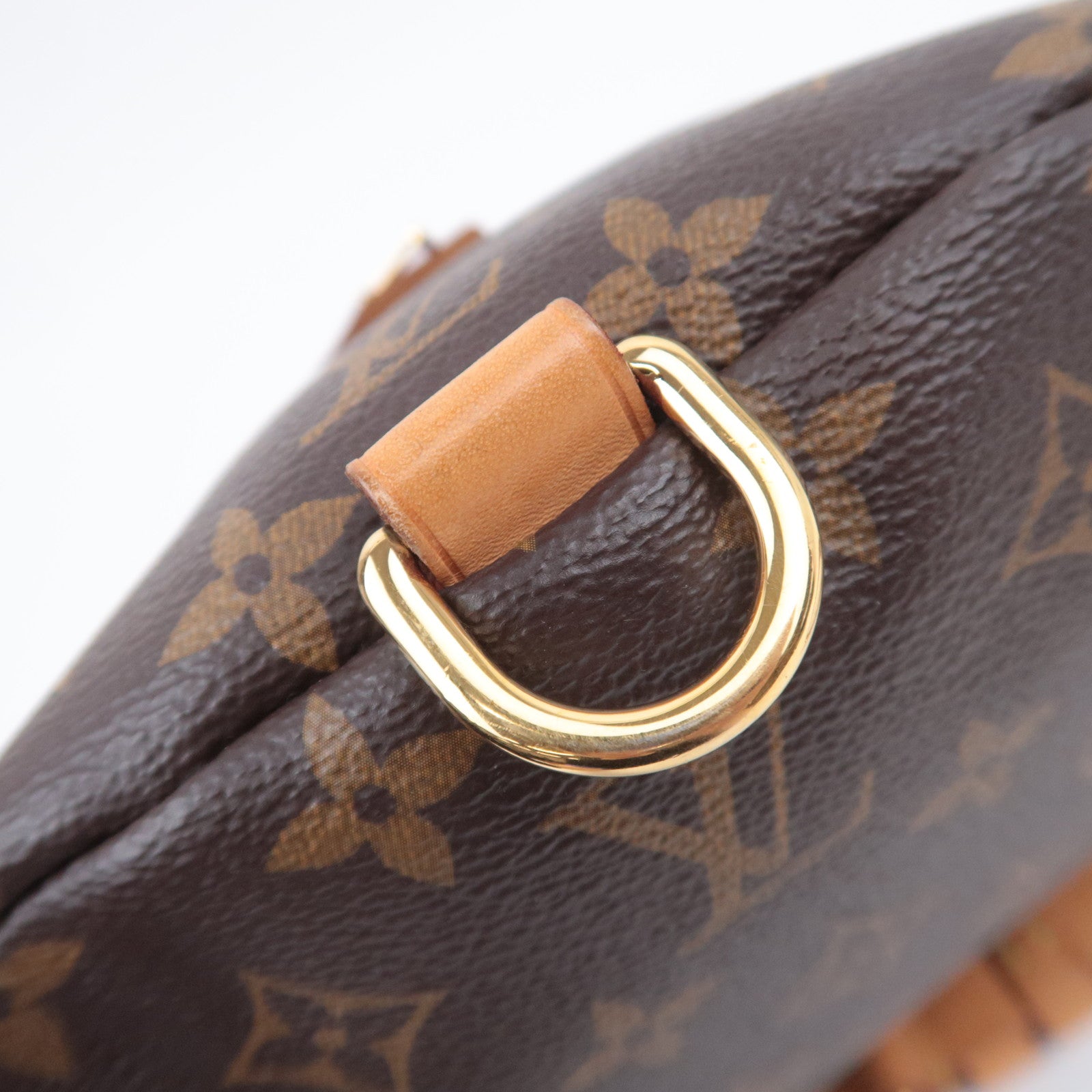 Louis Vuitton Monogram Bum Bag M43644