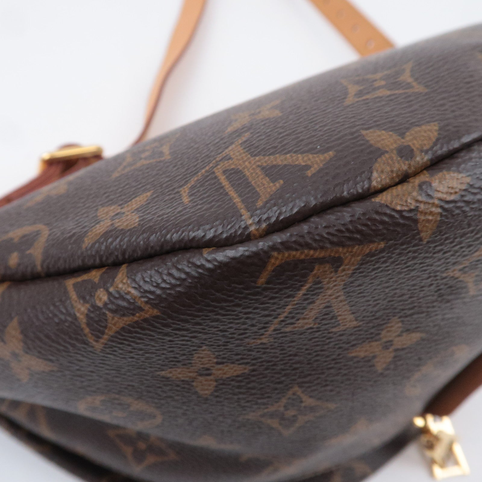 Louis Vuitton Monogram Bum Bag M43644