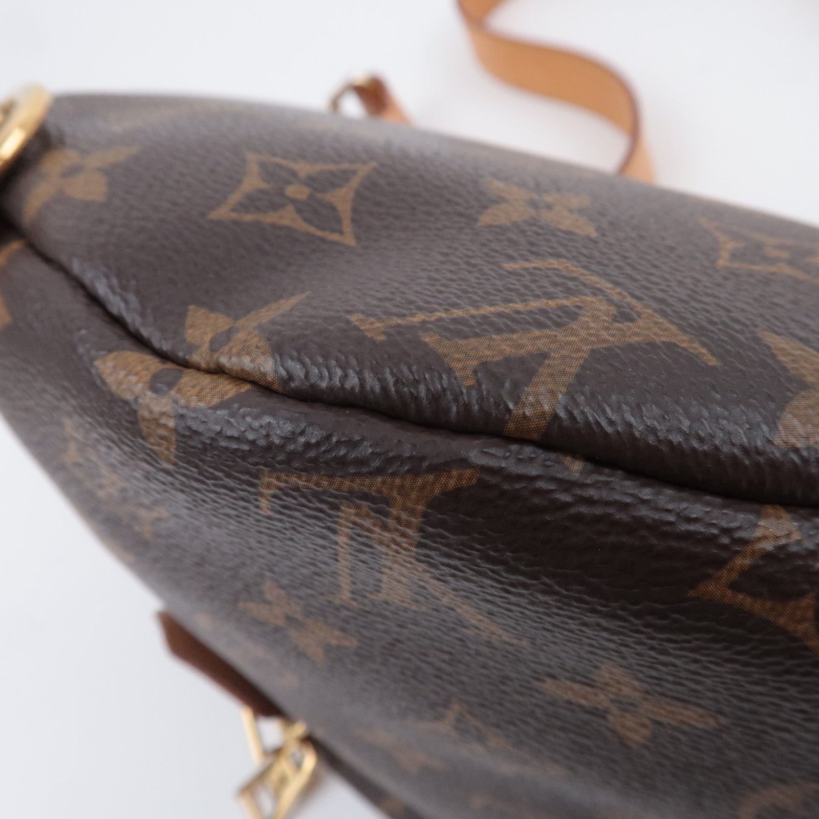 Louis Vuitton Monogram Bum Bag M43644