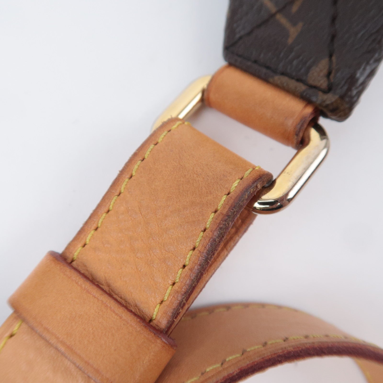 Louis Vuitton Monogram Bum Bag M43644