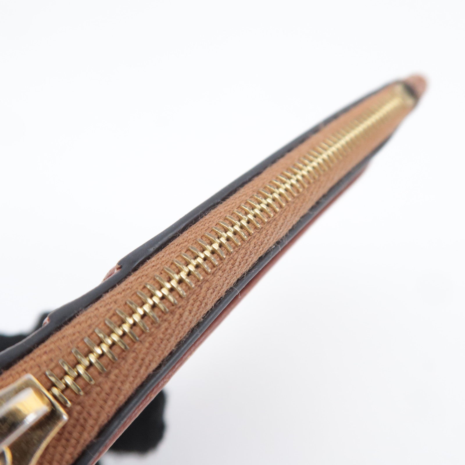 CELINE Triomphe Leather Zip Fragment Case Brown