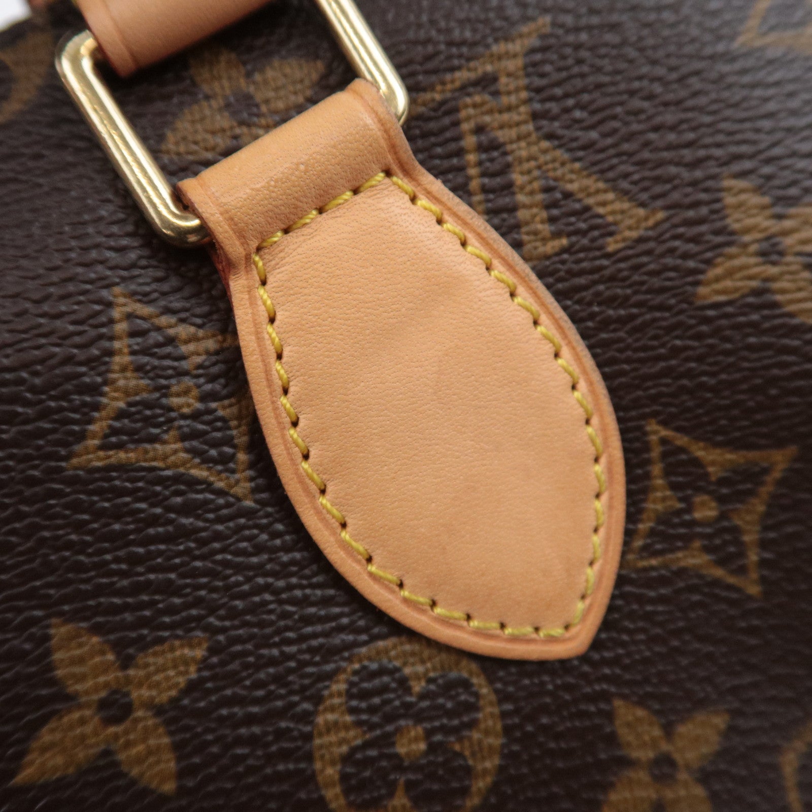 Louis Vuitton Monogram Popincourt Handbag M40009