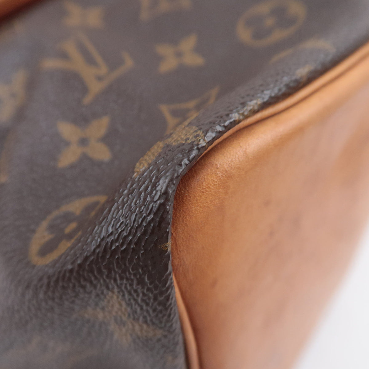 Louis Vuitton Monogram Petit Noe Bucket M42226