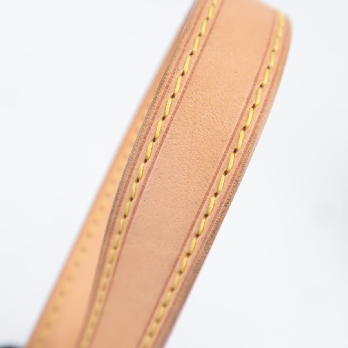 Louis Vuitton Monogram Multicolor Charlene GM M93215